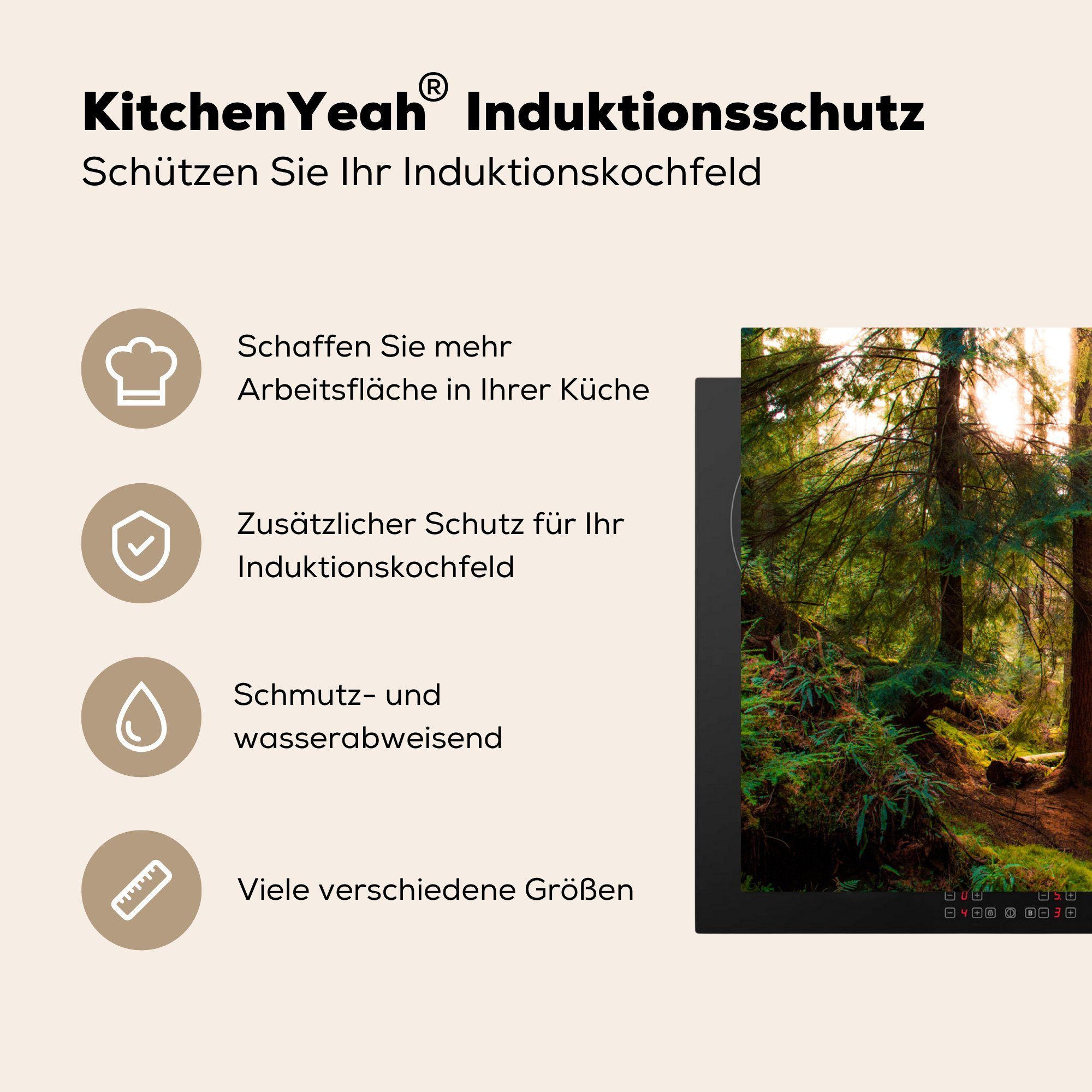 Weg Sonne küche Ceranfeldabdeckung, cm, - - Wald Arbeitsplatte für Vinyl, MuchoWow Grün - (1 Natur, - - 81x52 Bäume Herdblende-/Abdeckplatte tlg),