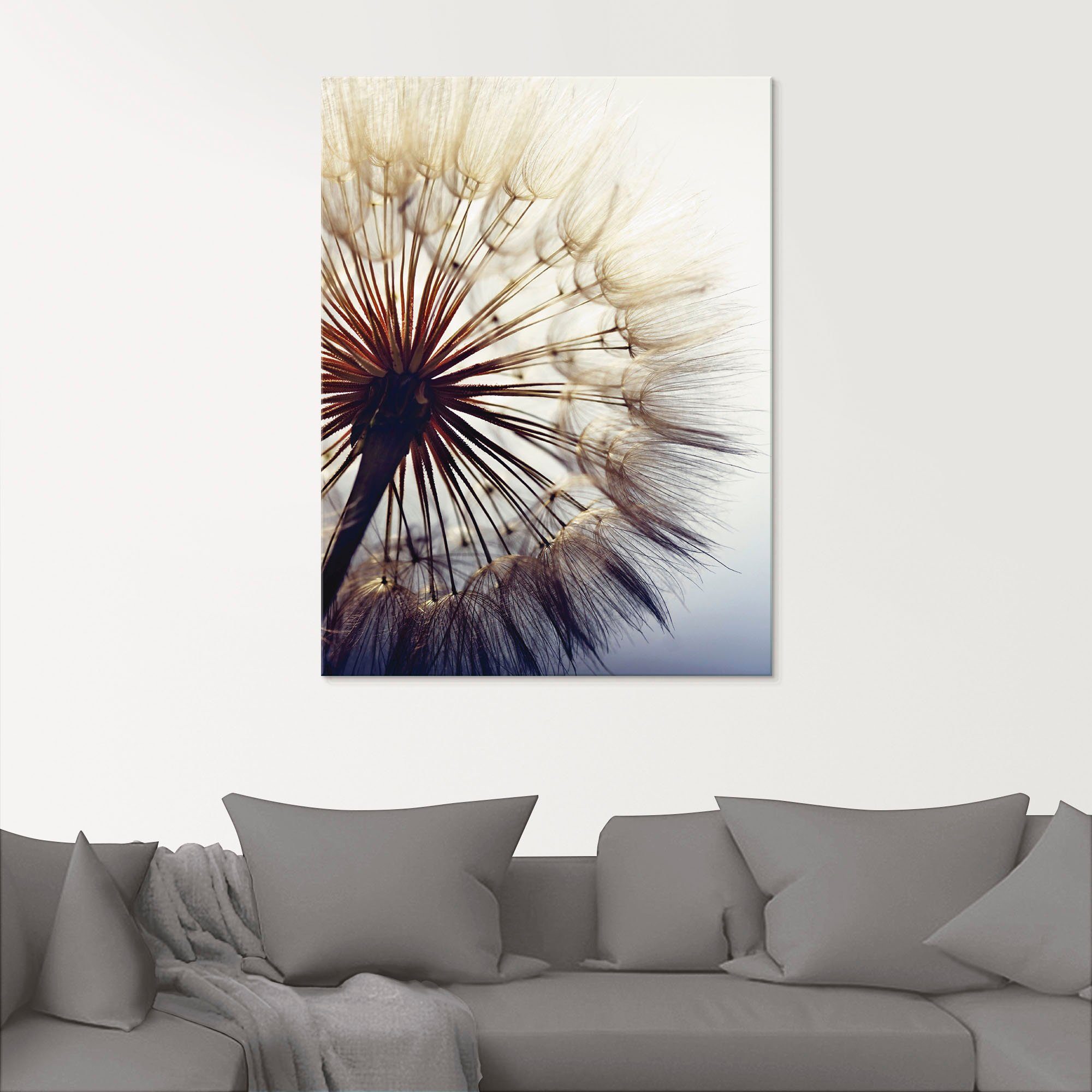 Artland Glasbild Große Pusteblume, Blumen (1 günstig online kaufen