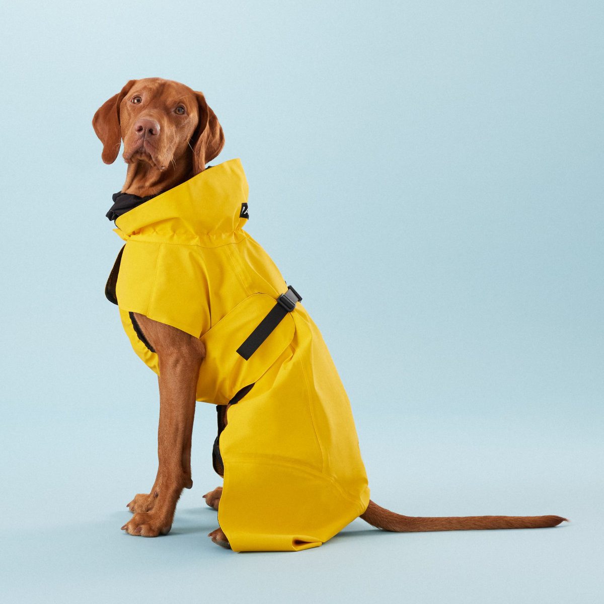 PAIKKA Hunderegenmantel Hunde Regenmantel leicht & reflektierend "Visibility Raincoat Lite g
