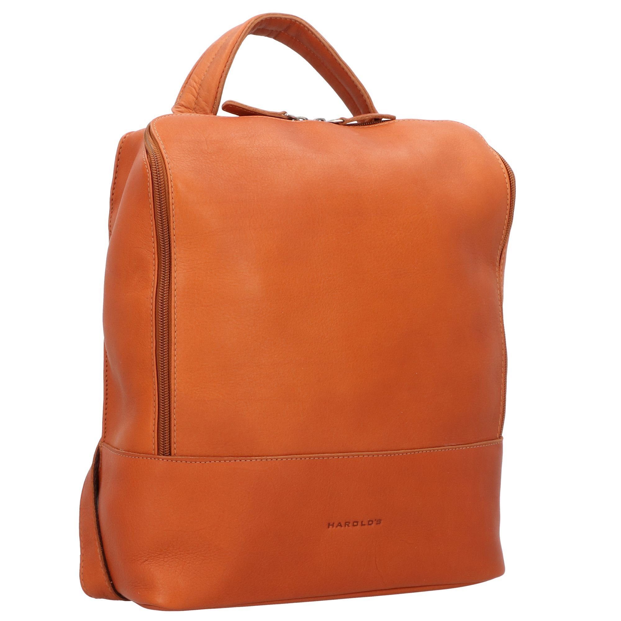 Harold's Laptoprucksack Campo, Leder günstig online kaufen
