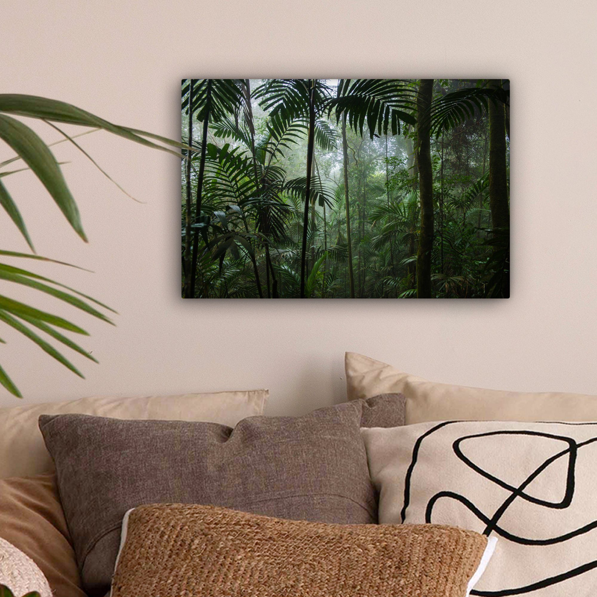 OneMillionCanvasses® Leinwandbild Regenwald - Tropisch - günstig online kaufen