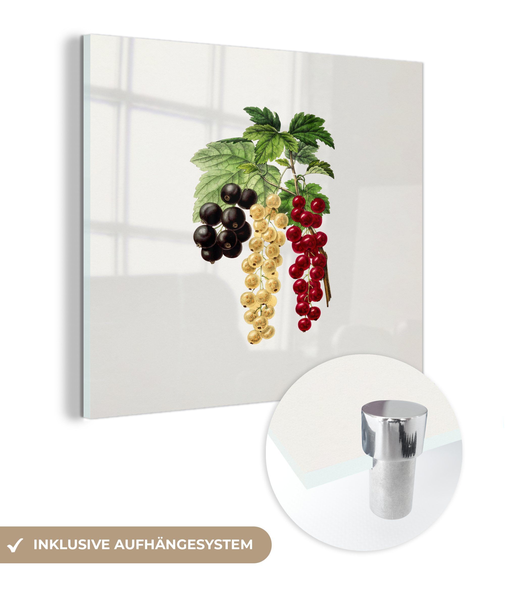MuchoWow Acrylglasbild Beeren - Lebensmittel - Pflanze, (1 St), Glasbilder - Bilder auf Glas Wandbild - Foto auf Glas - Wanddekoration