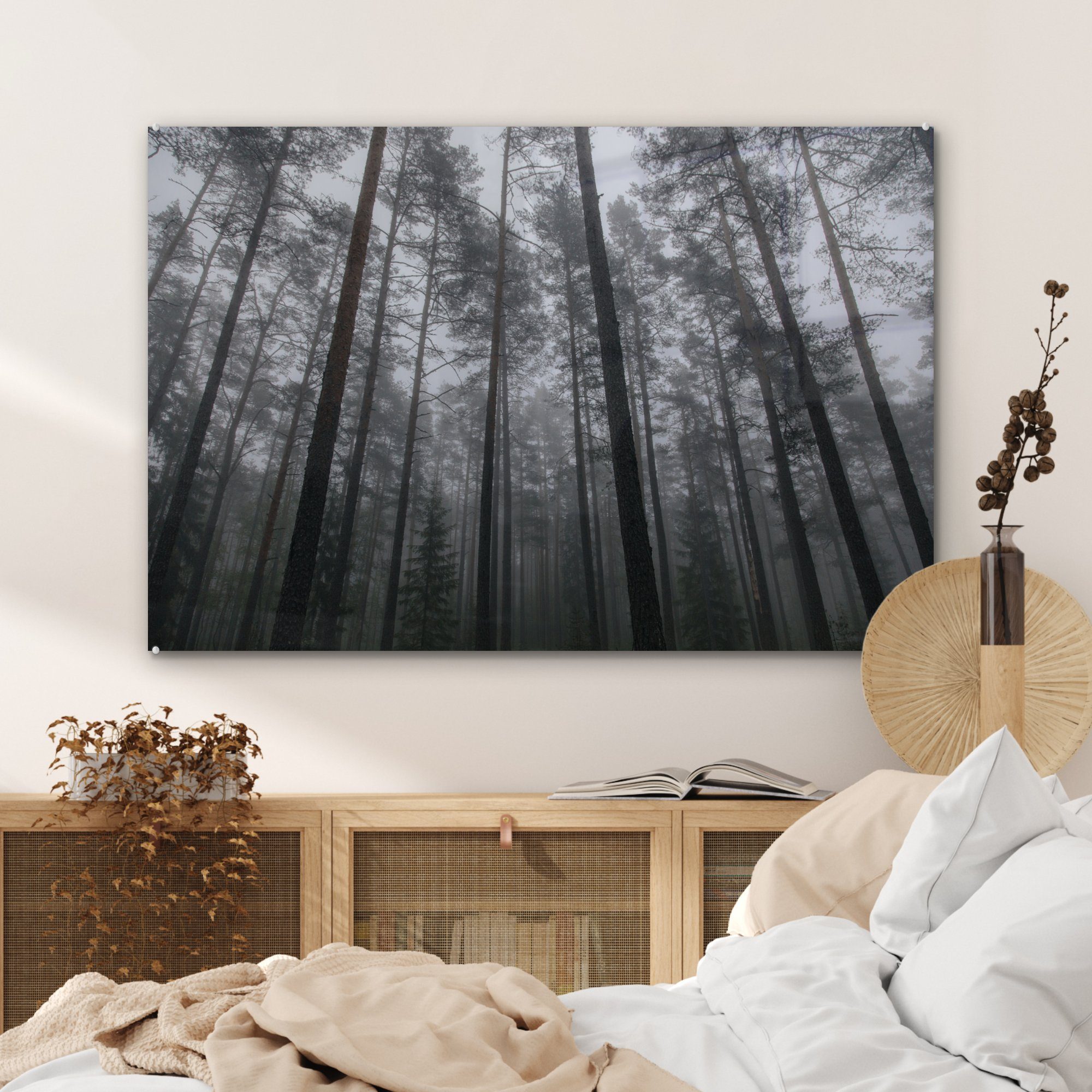des Wohnzimmer zwischen aufragenden Acrylglasbilder den Bäumen & Nebel hoch Lahemaa-Nationalparks, Schlafzimmer St), MuchoWow (1 Acrylglasbild
