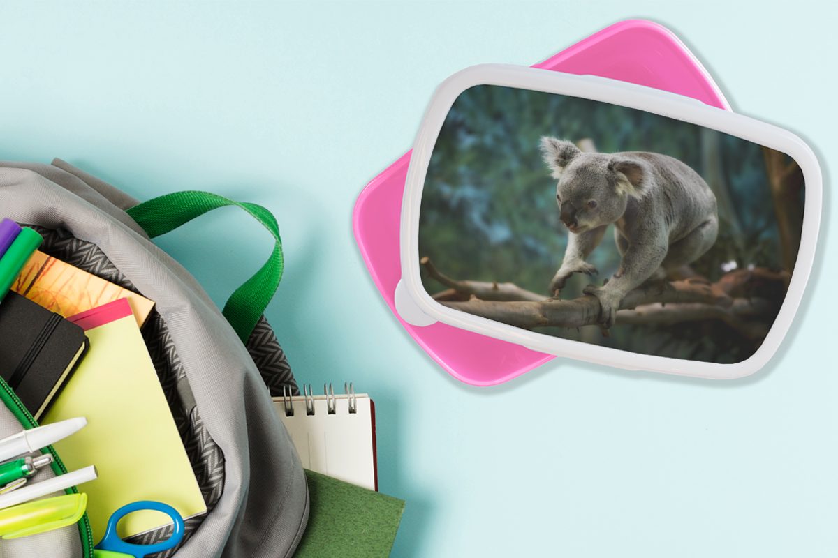 - Koala Erwachsene, - für - (2-tlg), MuchoWow Kinder, Äste Baum rosa Mädchen, Lunchbox Kunststoff Snackbox, Junge Kunststoff, Kinder - Mädchen, - Brotdose Brotbox