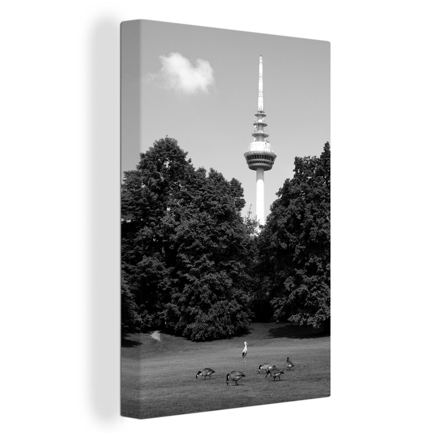 OneMillionCanvasses® Leinwandbild Der Mannheimer Fernsehturm inmitten grüner Bäume - schwarz-weiß, (1 St), Leinwandbild fertig bespannt inkl. Zackenaufhänger, Gemälde, 20x30 cm