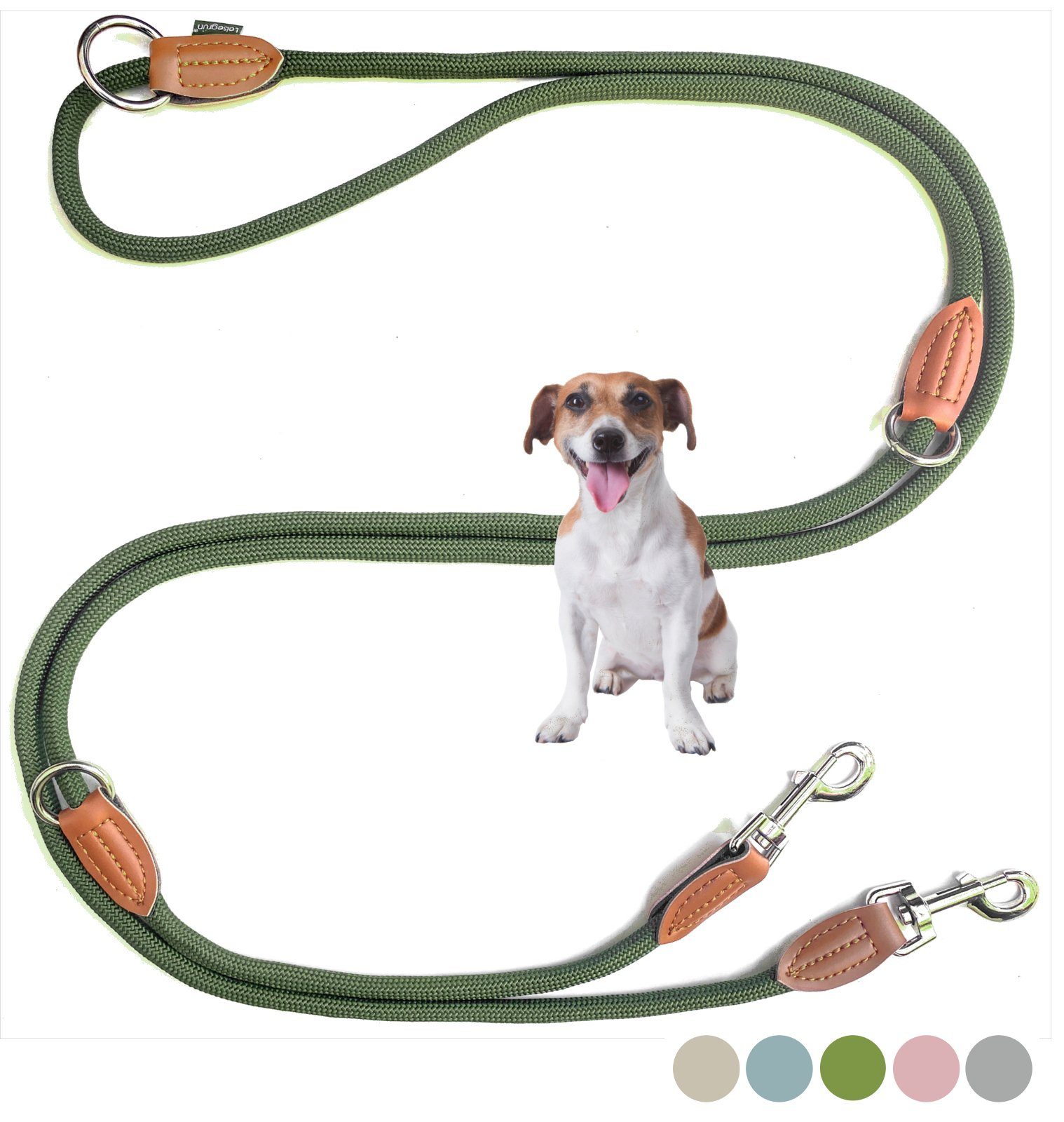 Leisegrün Hundeleine Hundeleine für kleine Hunde, 4-fach verstellbar mit 2 Karabiner, 3 m, Nylon