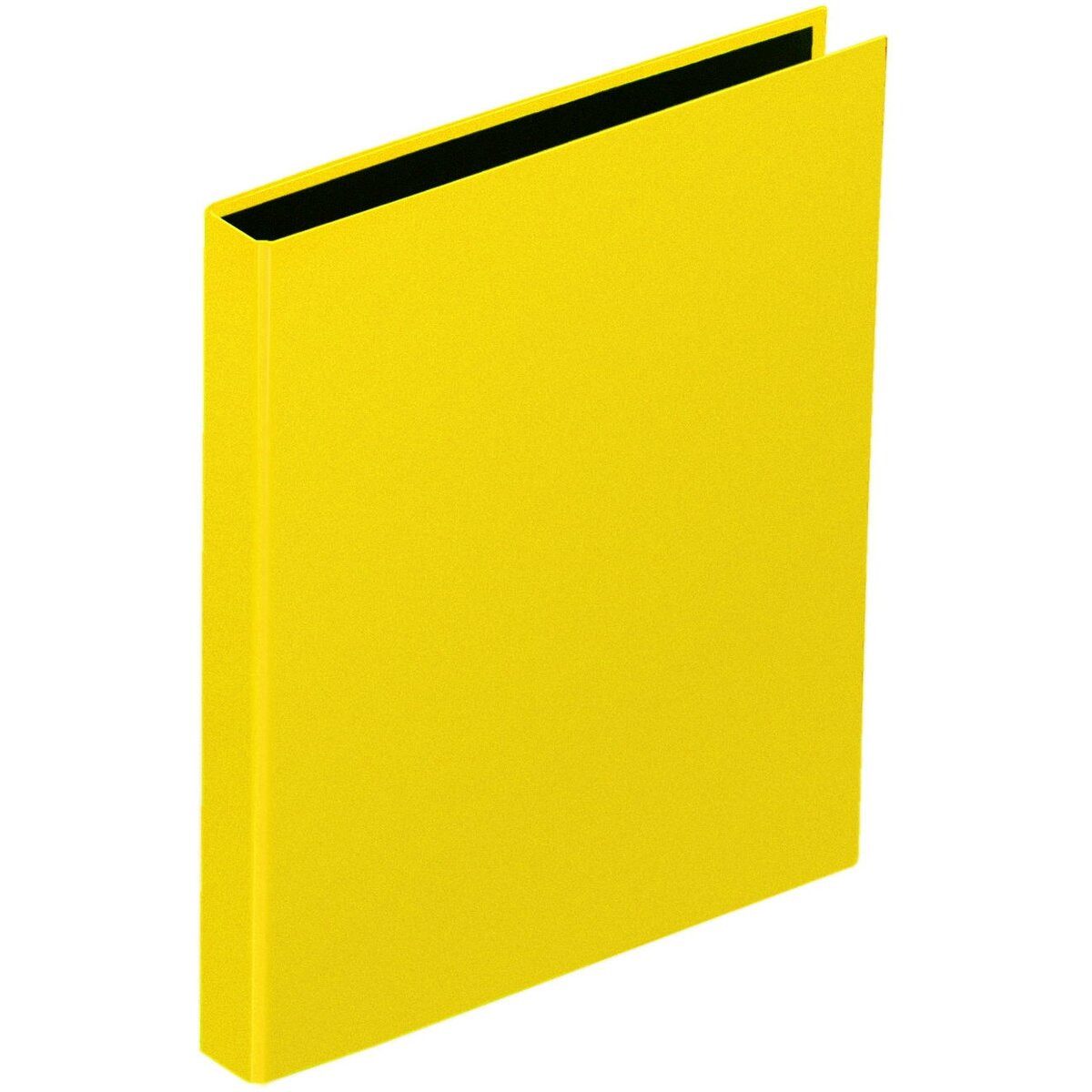 PAGNA Präsentationsordner Ringbuch A4 20mm 2 Ringe gelb