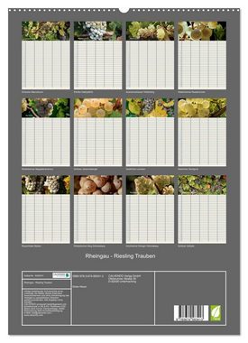 CALVENDO Wandkalender Rheingau - Riesling Trauben (Premium, hochwertiger DIN A2 Wandkalender 2023, Kunstdruck in Hochglanz)