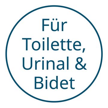 bideo WC-Intensivschaum 1,5 kg, Kraftschaum bis unter den Rand, WC-Reiniger (Löst zuverlässig Kalkablagerungen und Urinstein)