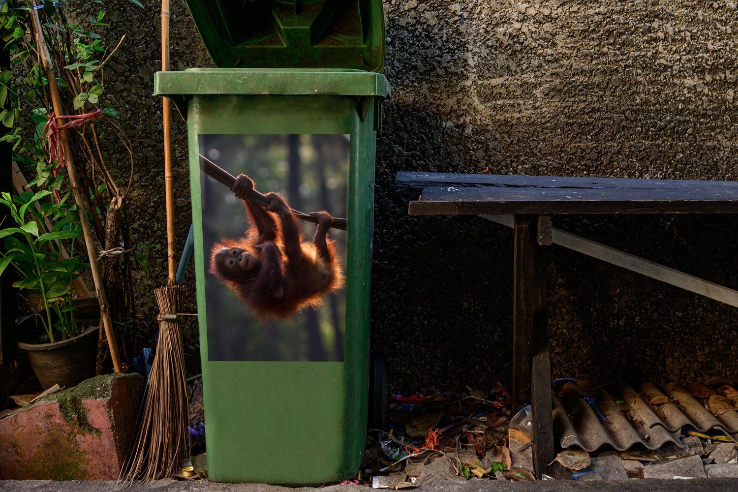 einem Junger (1 Mülltonne, St), hängt Sticker, Container, Abfalbehälter Wandsticker Orang-Utan an MuchoWow Ast Mülleimer-aufkleber,