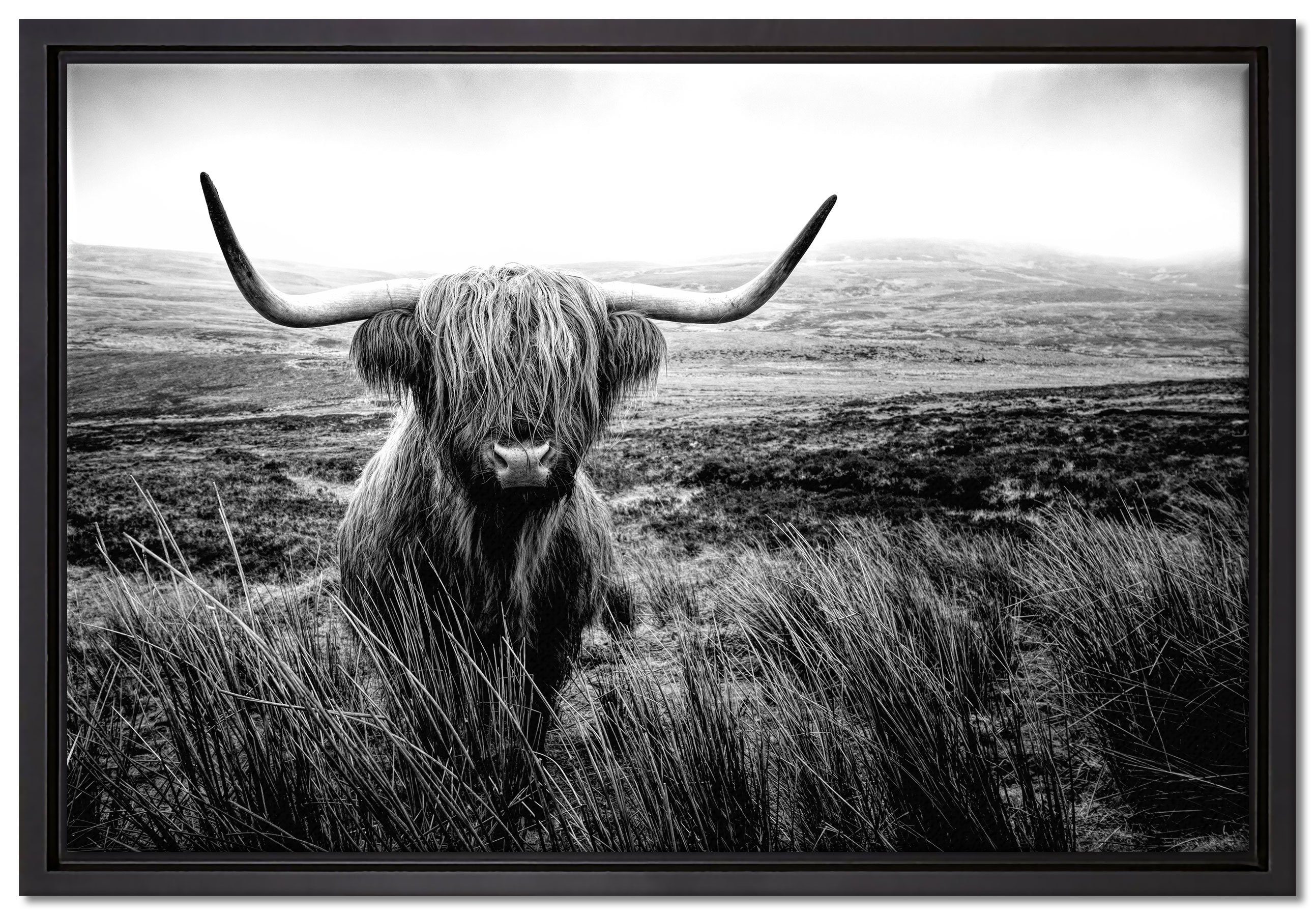 Pixxprint Leinwandbild Highland Rind mit großen Hörnern Steppe, Monochrome, Wanddekoration (1 St), Leinwandbild fertig bespannt, in einem Schattenfugen-Bilderrahmen gefasst, inkl. Zackenaufhänger