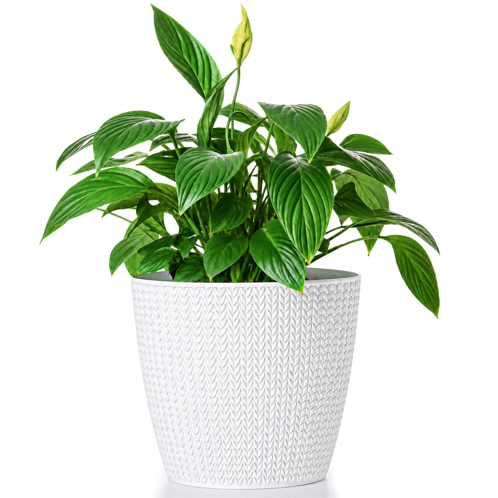 KONZEPT Blumentopf aus Kunststoff, in Grasgeflecht-Optik, Ø 22 cm, Indoor, Outdoor, UV-& wetterbeständig, 5,4L