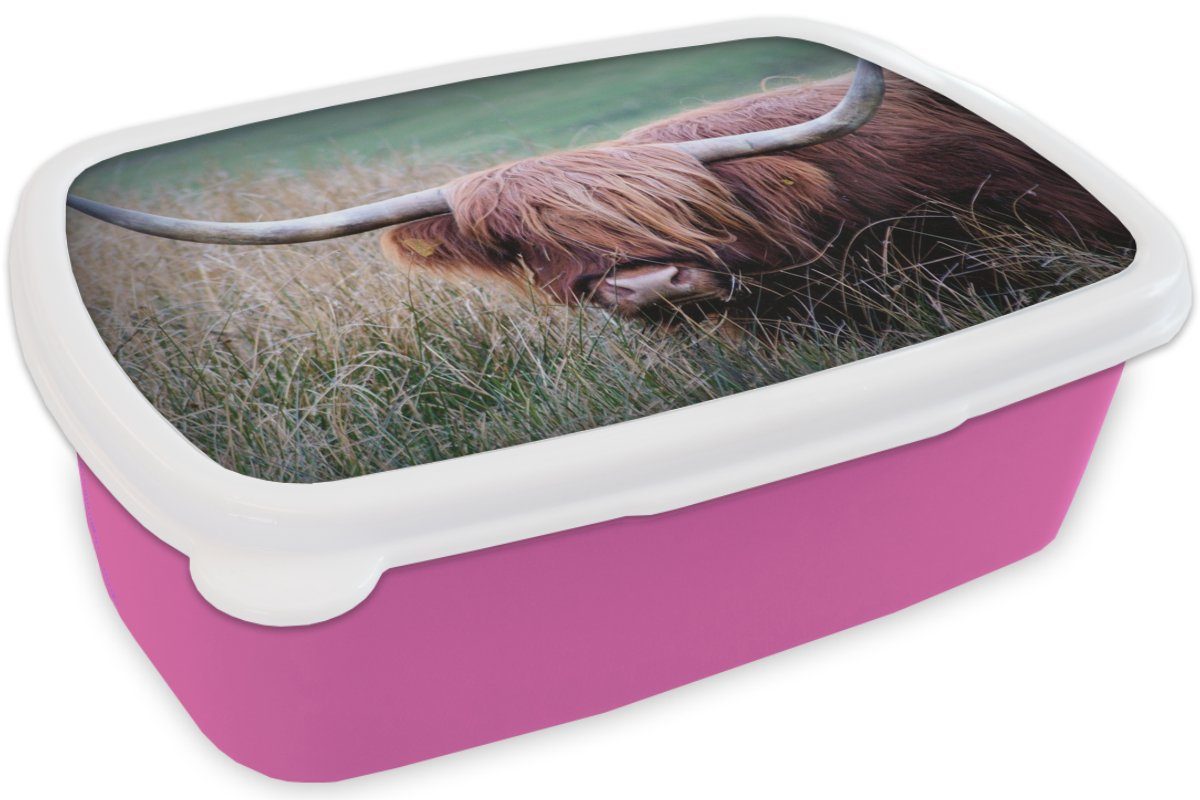 - Lunchbox Erwachsene, Schottischer Snackbox, Kunststoff Brotdose (2-tlg), rosa - MuchoWow Brotbox Gras, Mädchen, Kinder, Kunststoff, Hörner für Highlander