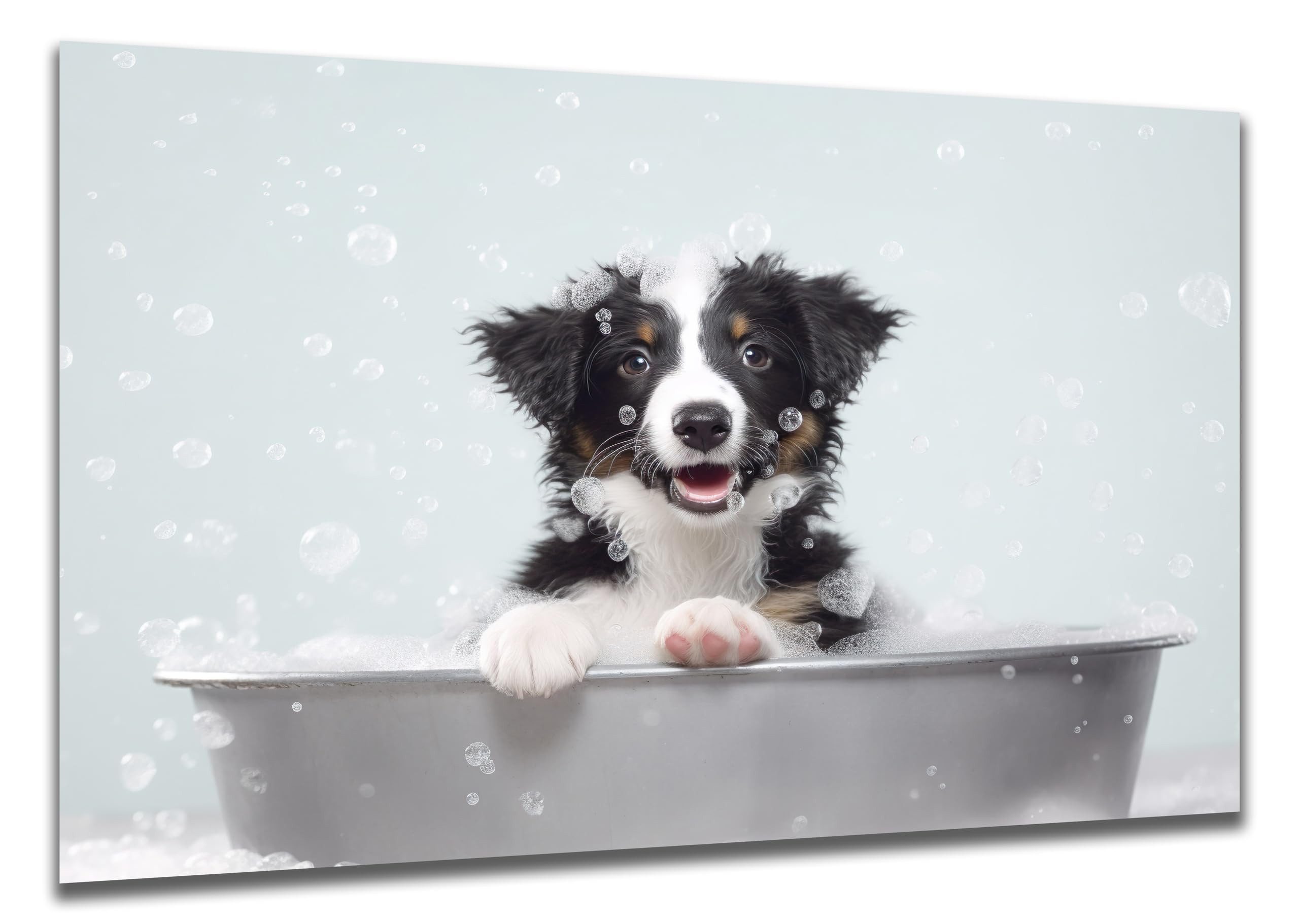 DARO Design Wandbild Welpen Badewanne Wandbilder Wand Deko Bilder Lustig Leinwandbild, (Hunde-Welpe Collie in der Badewanne - Bild klein Badezimmer Gäste-WC Flur Diele Einteilig Querformat Fotodruck Badezimmer-Humor Hunde), 30x20 cm