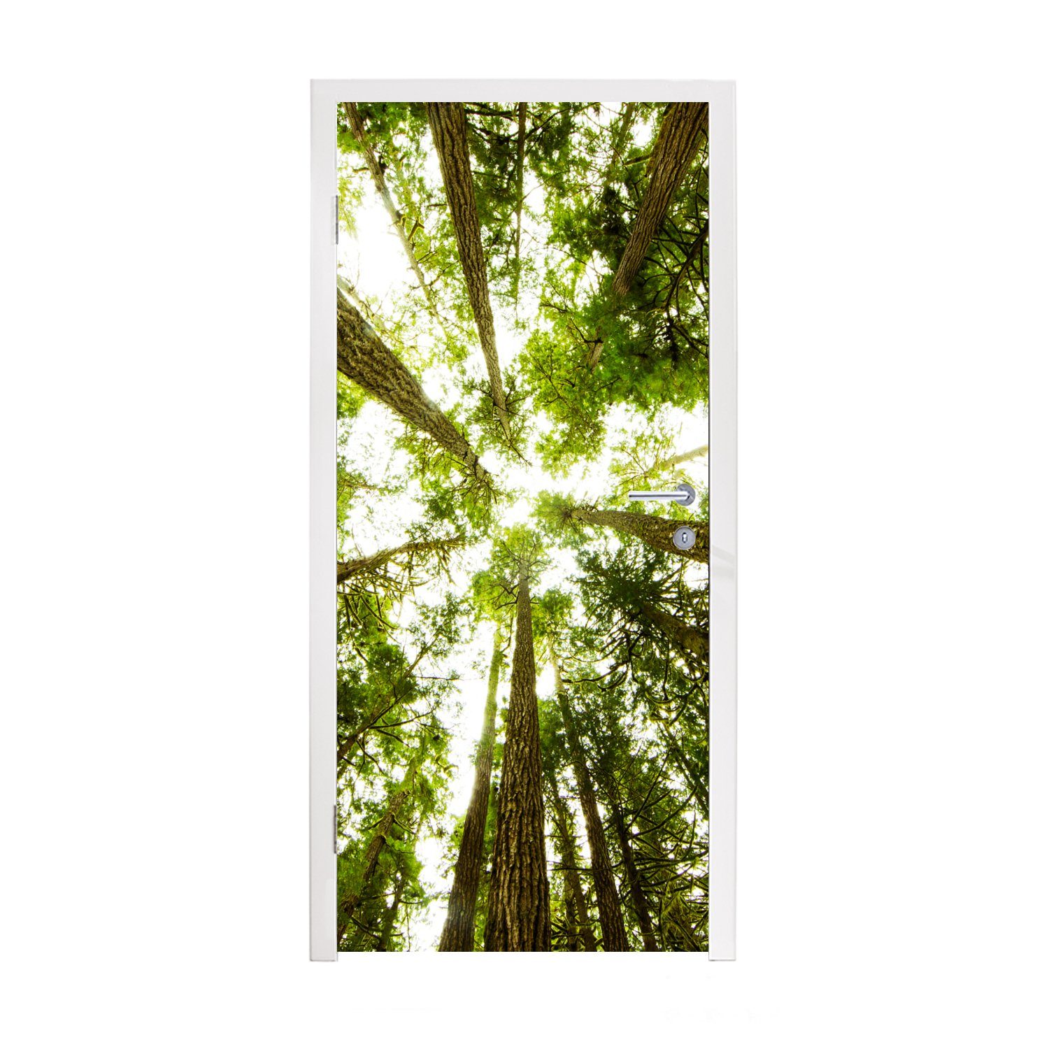 MuchoWow Türtapete Hohe grüne Bäume im Dschungel, Matt, bedruckt, (1 St), Fototapete für Tür, Türaufkleber, 75x205 cm