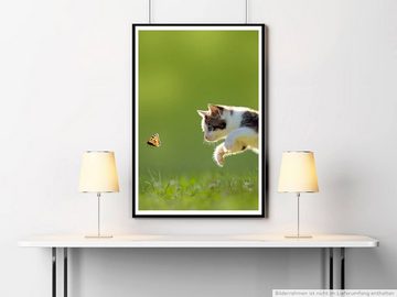 Sinus Art Poster Tierfotografie 60x90cm Poster Kätzchen auf der Jagd nach Schmetterling