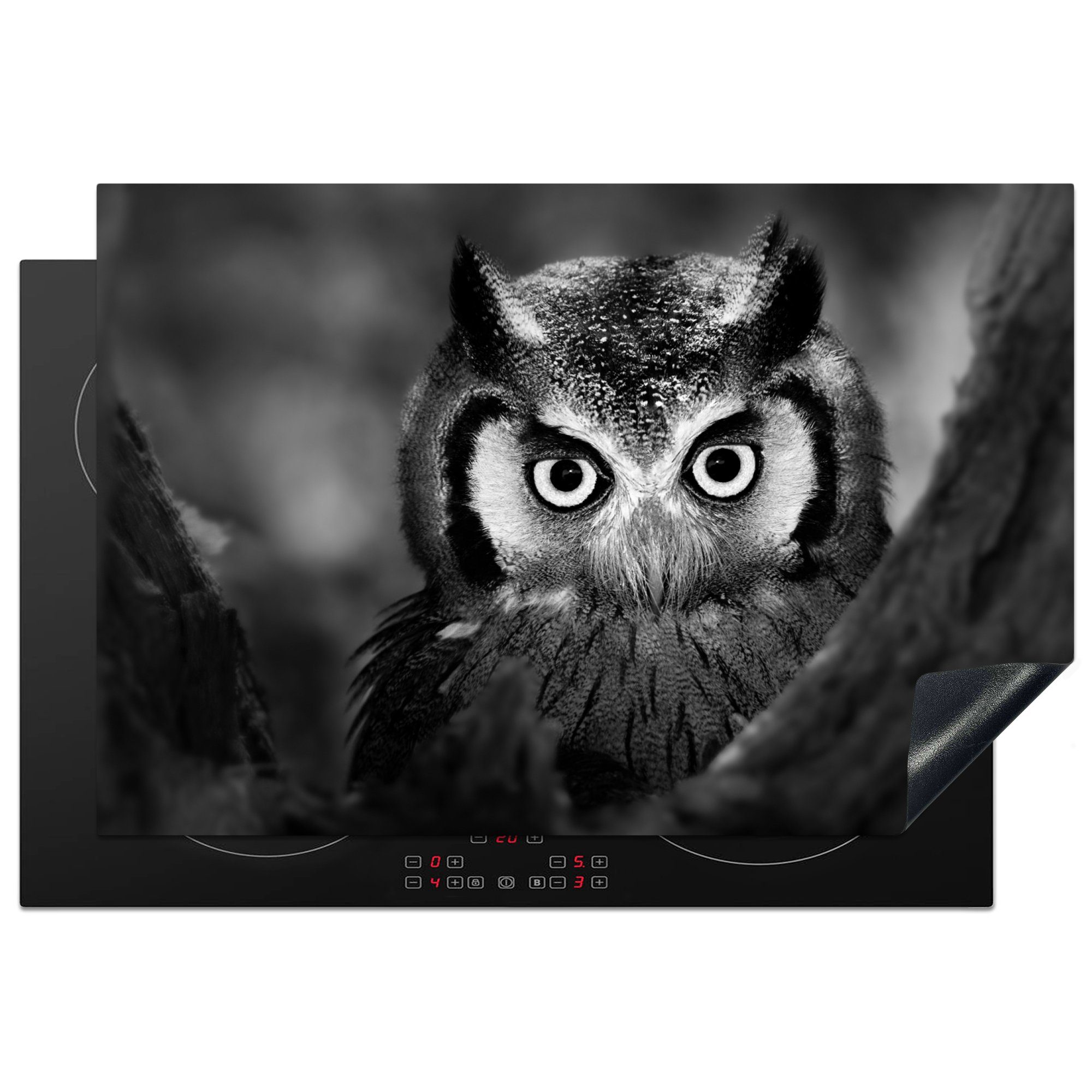 MuchoWow Herdblende-/Abdeckplatte Vogel - Eule - Porträt - Schwarz - Weiß, Vinyl, (1 tlg), 77x51 cm, Ceranfeldabdeckung, Arbeitsplatte für küche