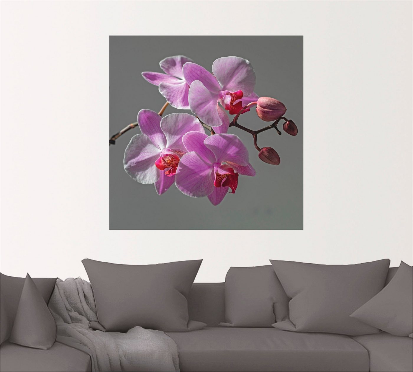 Artland Wandbild »Orchideentraum«, Blumen (1 Stück), in vielen Größen & Produktarten - Alubild / Outdoorbild für den Außenbereich, Leinwandbild, Poster, Wandaufkleber / Wandtattoo auch für Badezimmer geeignet-kaufen
