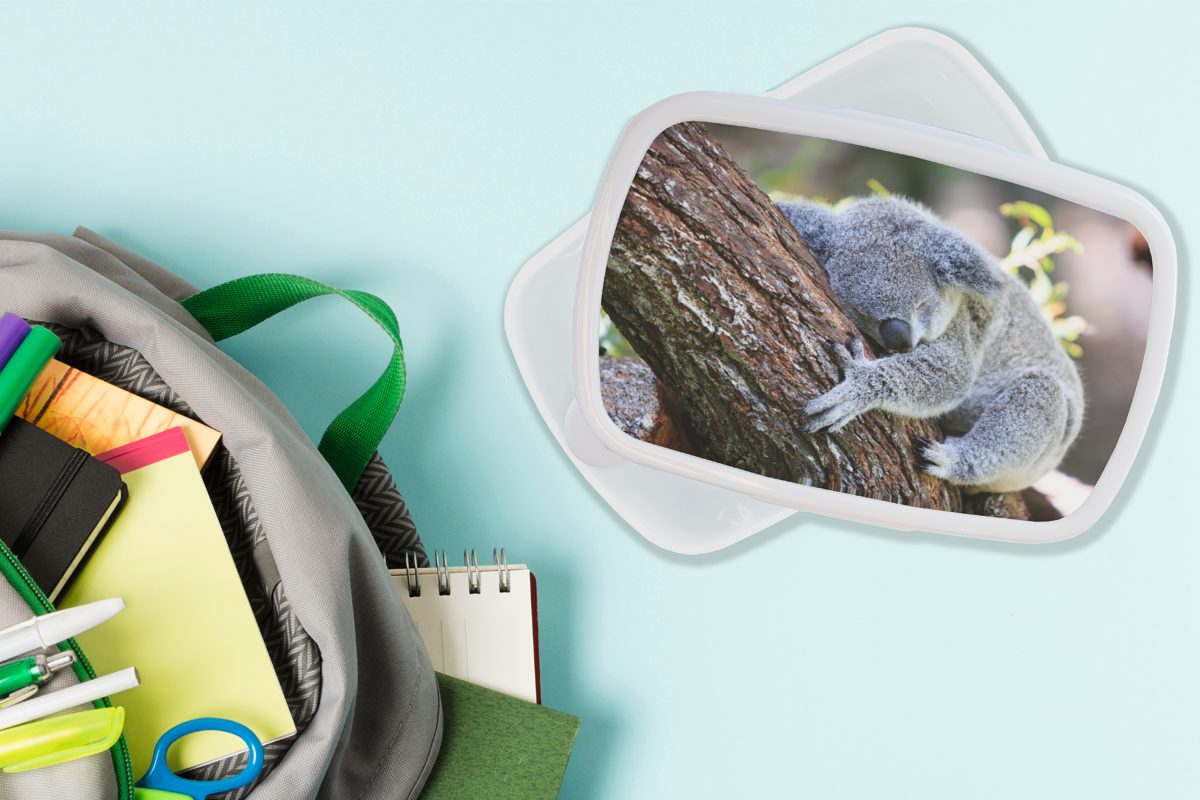 für Erwachsene, für Brotdose, und und Mädchen Baum Jungs weiß Koala MuchoWow Kunststoff, - Kinder Schlaf - - Lunchbox - Kinder Mädchen, Jungen - Brotbox (2-tlg),