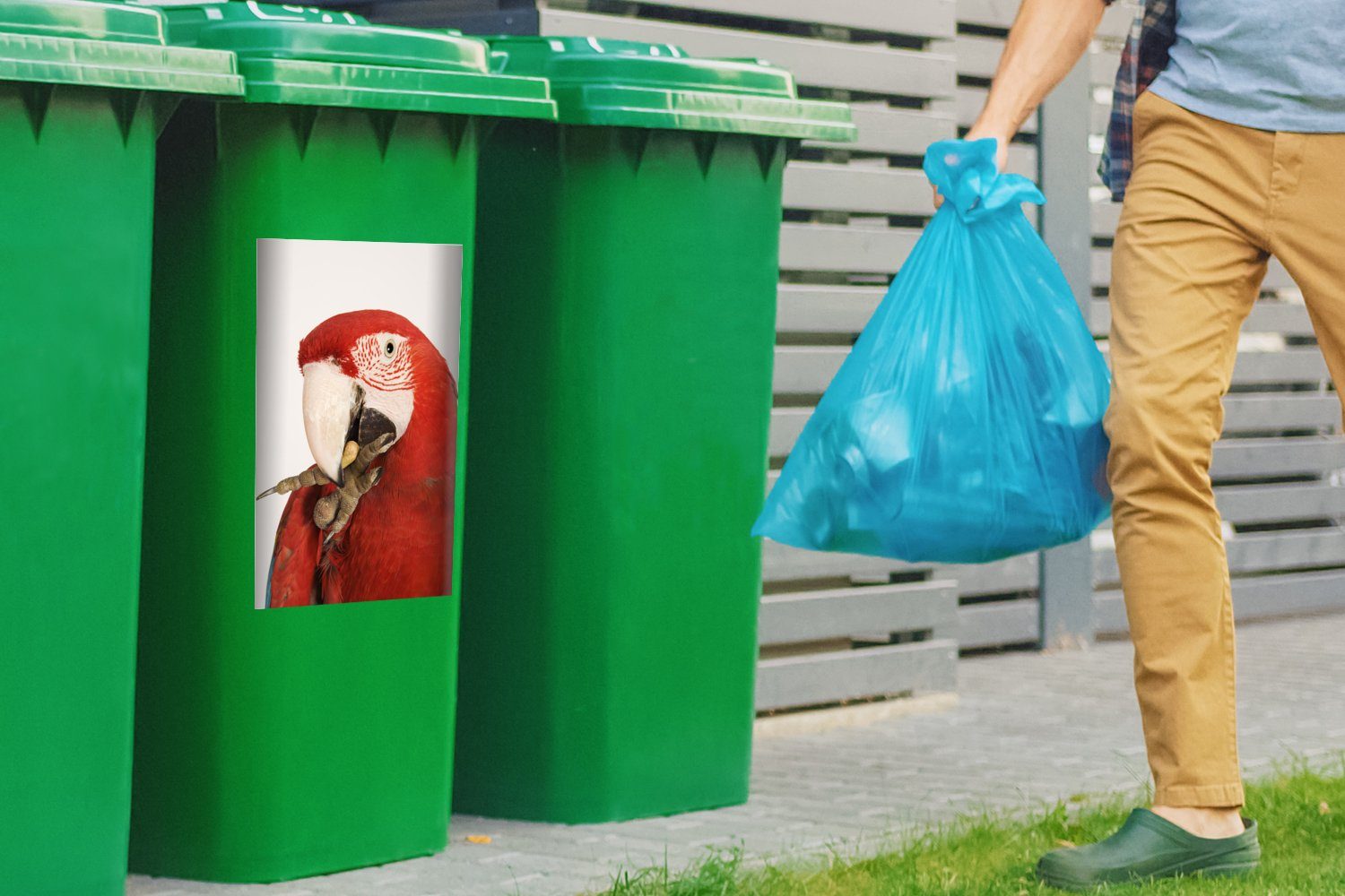 Abfalbehälter (1 Papagei St), Sticker, auf Wandsticker Mülleimer-aufkleber, Rote Hintergrund MuchoWow weißem Aras Mülltonne, Container, fressen