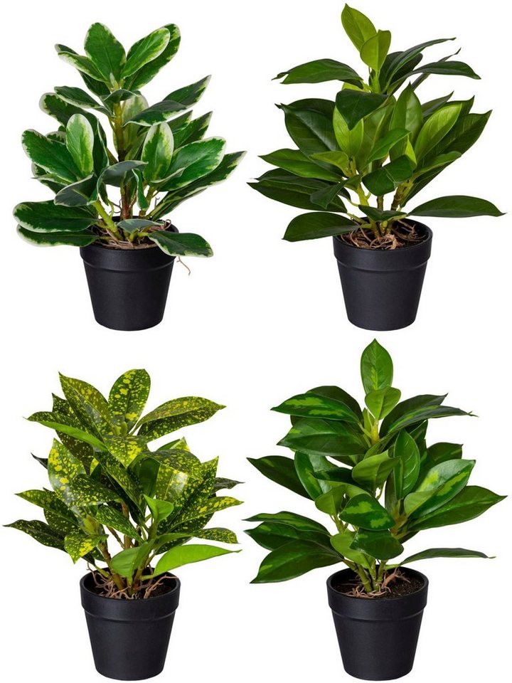 Künstliche Zimmerpflanze Grünpflanzen-Mix Grünpflanze, Creativ green, Höhe  23 cm, im 4er Set