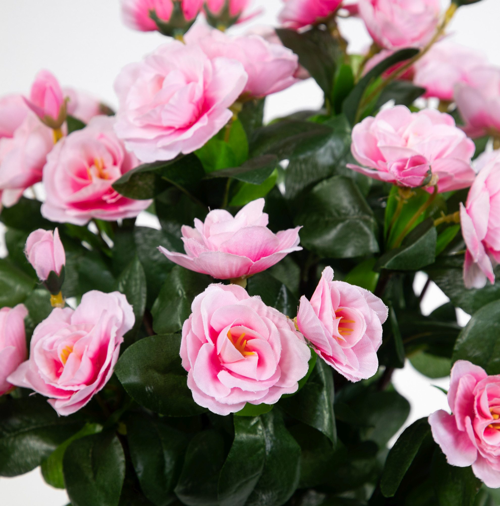 Kunstblume Azalee 40cm im Topf ZF Kunstpflanzen Kunstblumen künstliche Pfla günstig online kaufen