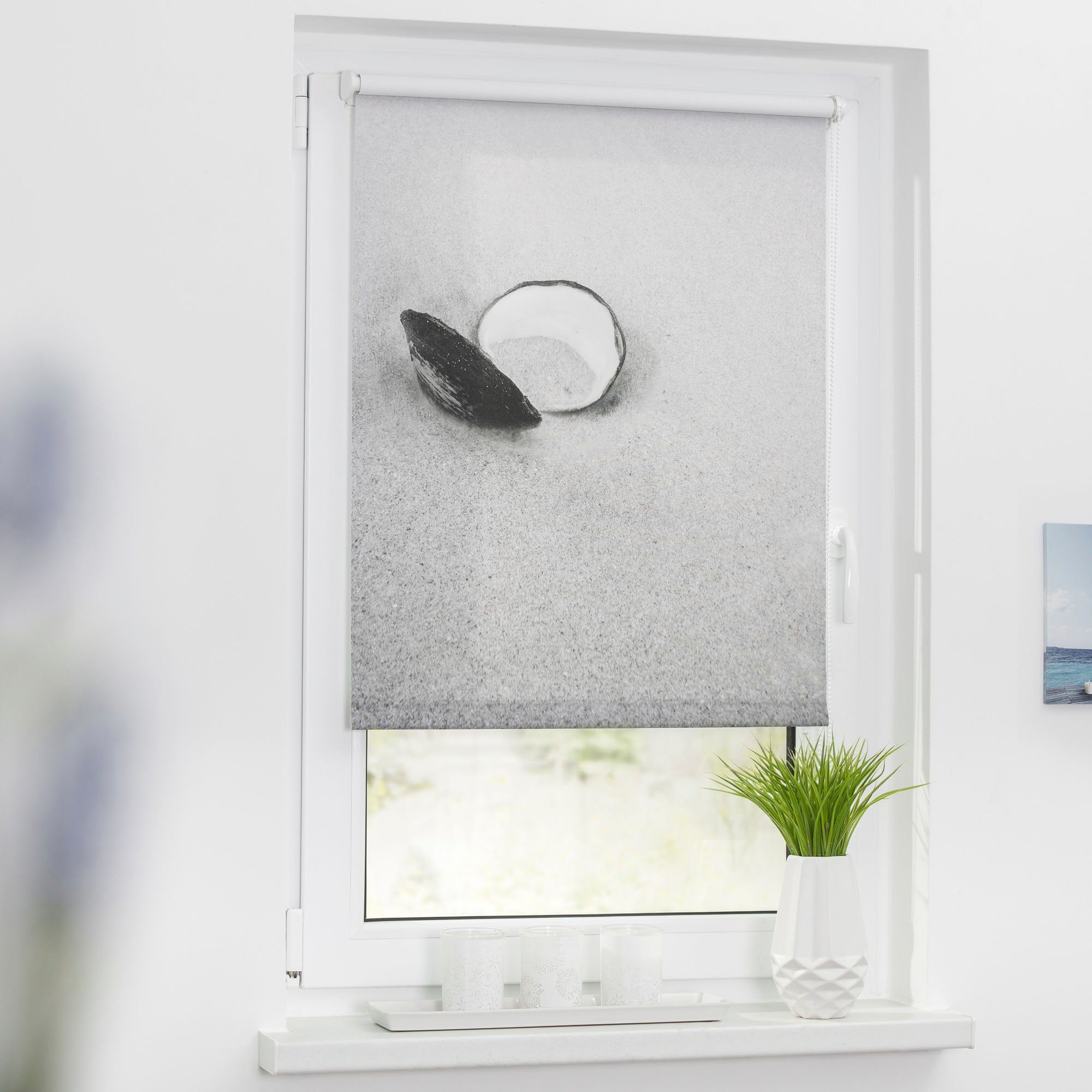Seitenzugrollo Klemmfix Motiv Muschel, LICHTBLICK ORIGINAL, günstig online kaufen
