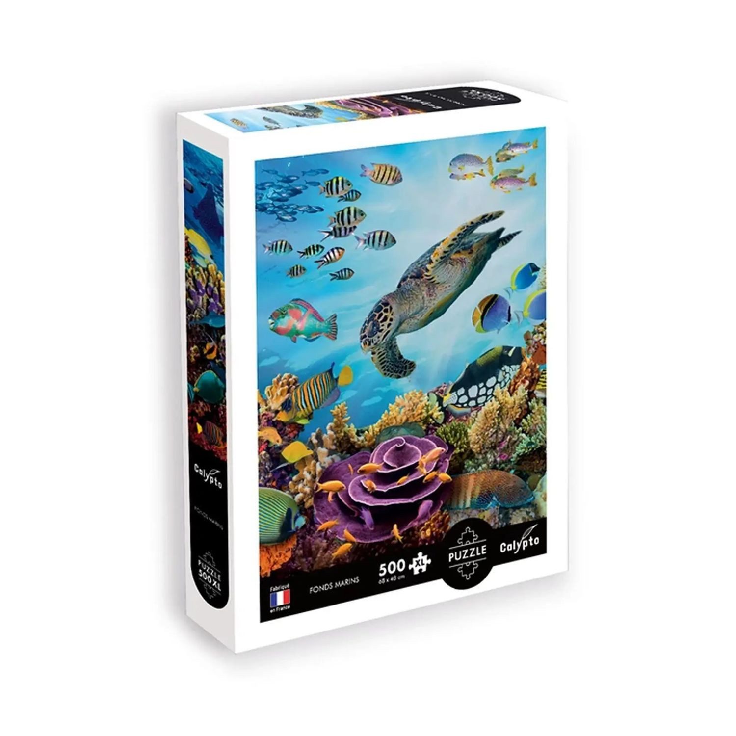 BrainBox Spiel Unterwasserwelt