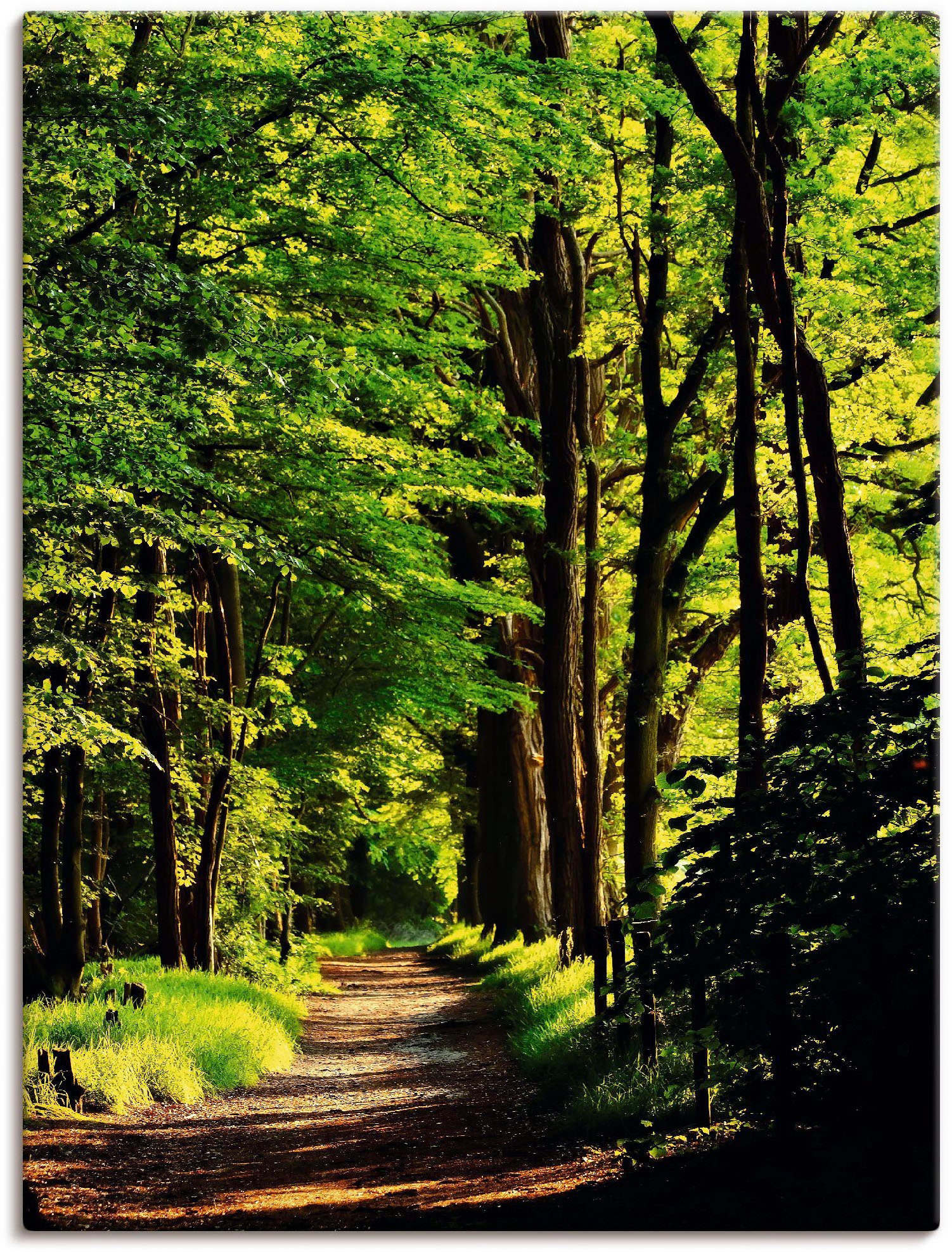 Artland Wandbild Weg im Wald, Wald (1 St), als Leinwandbild, Poster in verschied. Größen