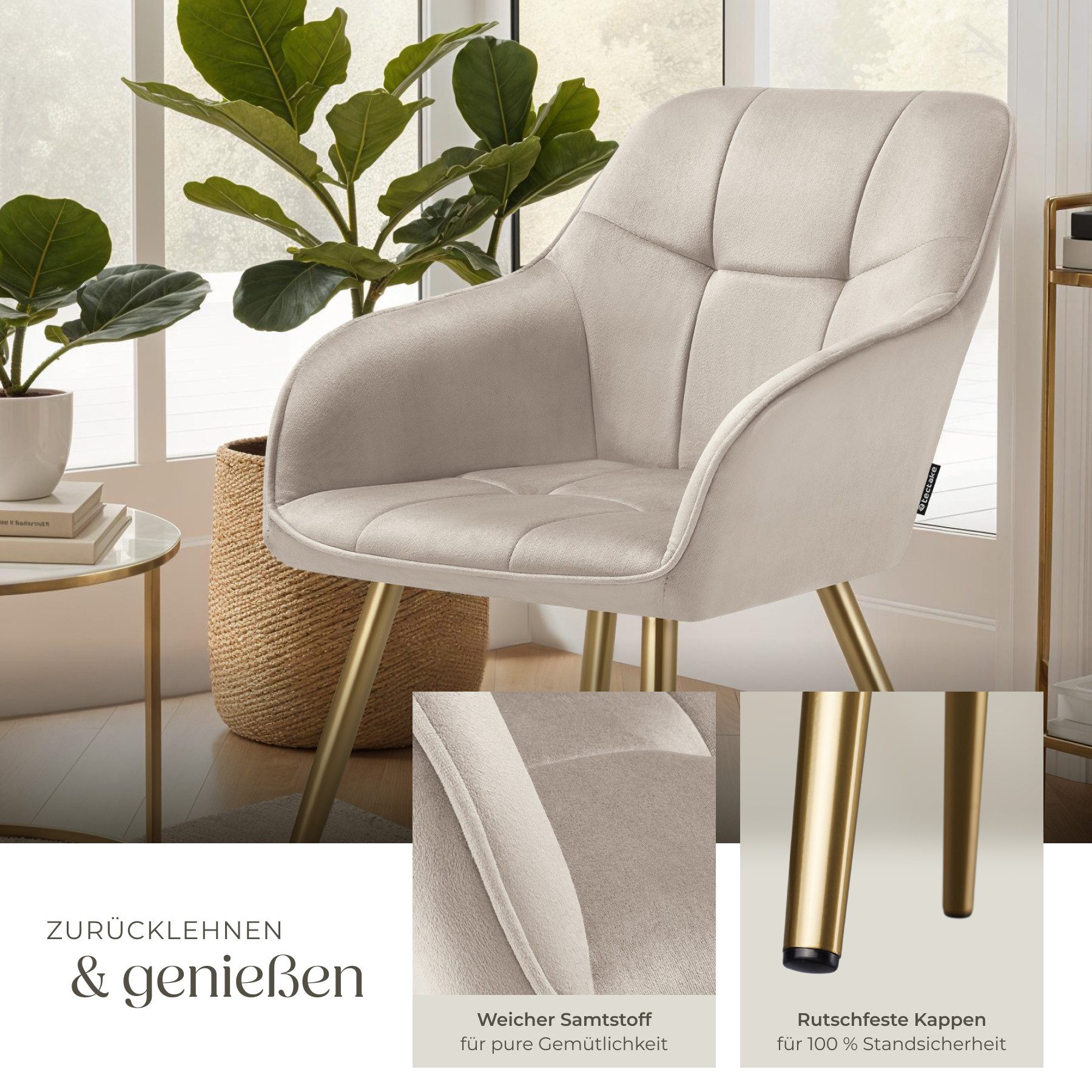 tectake Esszimmerstuhl Polstersessel gepolstert, in Samtoptik, gesteppt, 58 x 62 x 82 cm (Küchenstuhl Marilyn in taupe/gold, 6 St), schlanke, goldene Stahlbeine – Bild 4 von 5