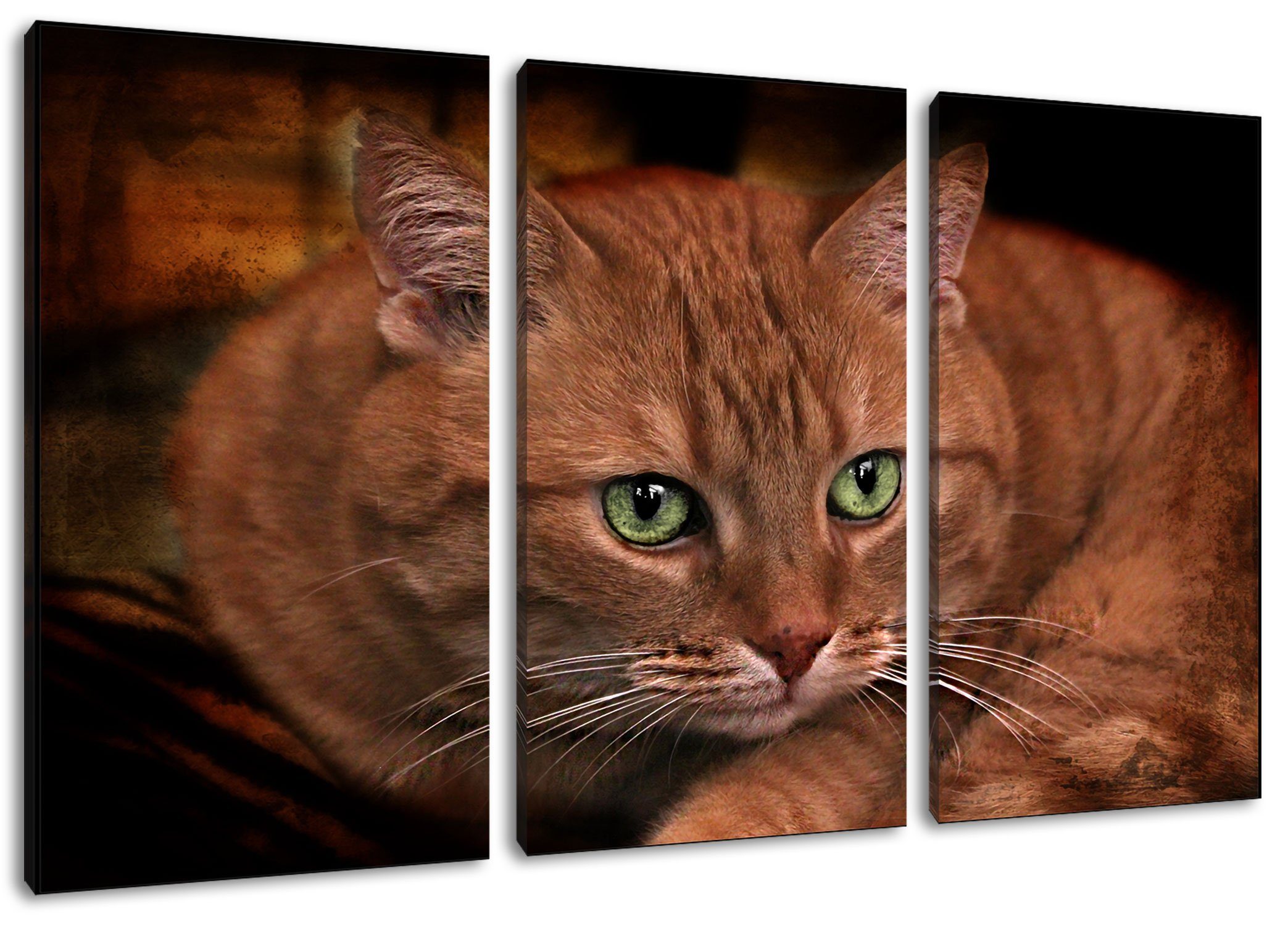 Pixxprint Leinwandbild schöne Hauskatze, schöne Hauskatze 3Teiler (120x80cm) (1 St), Leinwandbild fertig bespannt, inkl. Zackenaufhänger