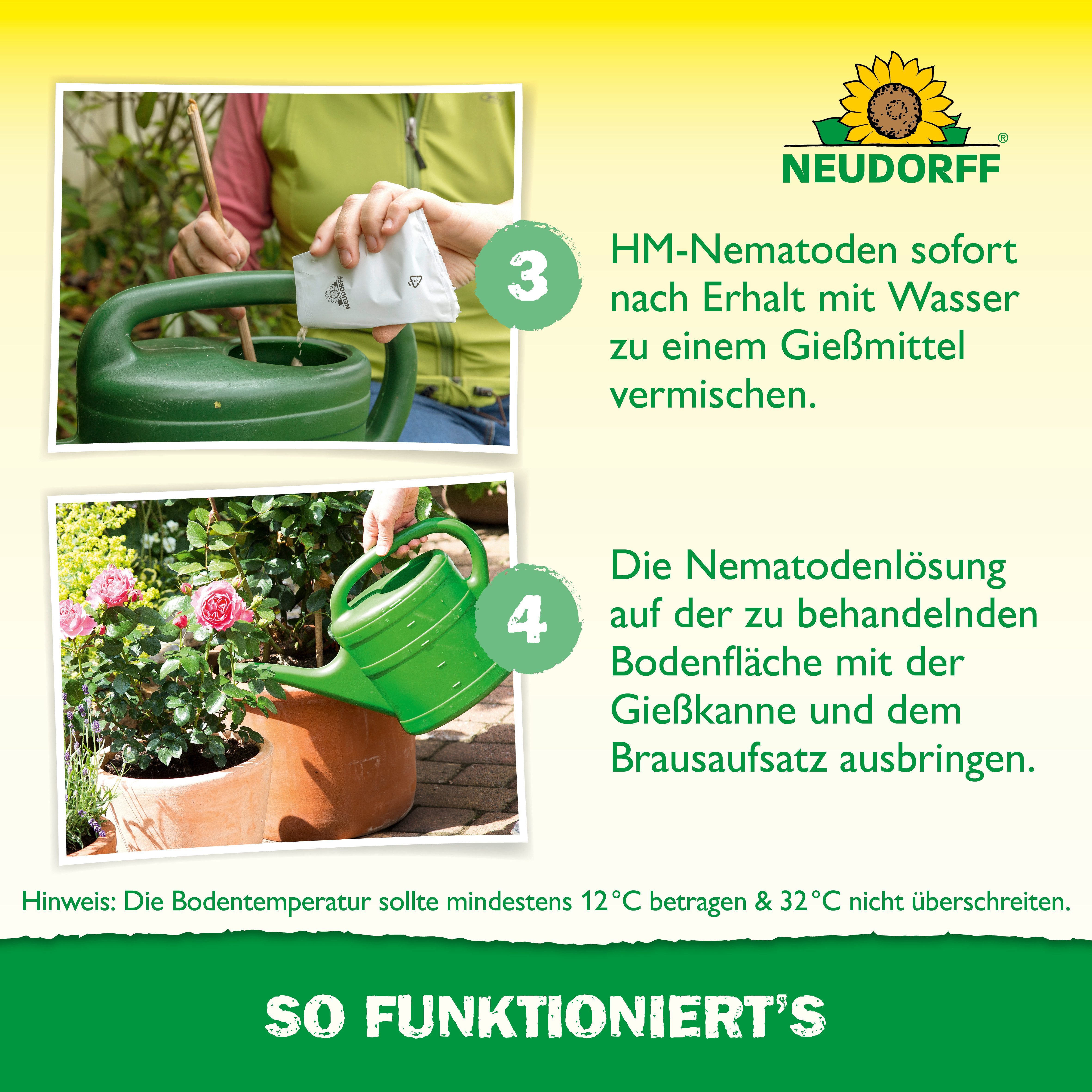 Neudorff Nematoden Nützlinge gegen Dickmaulrüssler und Engerlinge, 50 Mio. HM-Nematoden für bis zu 100 m² – Bild 5 von 5