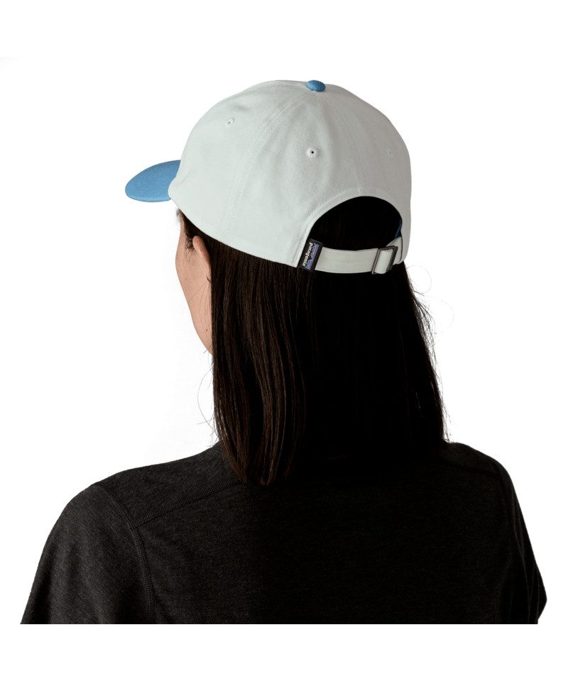 Patagonia Trucker Cap P-6 Label Trad Cap