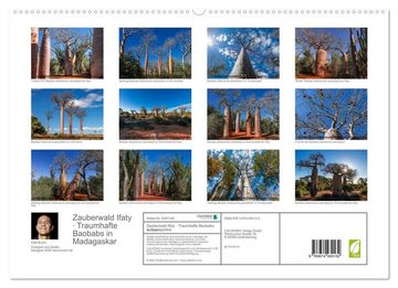 CALVENDO Wandkalender Zauberwald Ifaty · Traumhafte Baobabs in Madagaskar (Premium, hochwertiger DIN A2 Wandkalender 2023, Kunstdruck in Hochglanz)