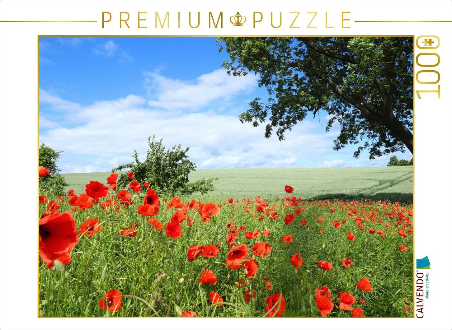 Puzzle CALVENDO Puzzle Klatschmohn (Papaver rhoeas) 1000 Teile Lege-Größe 64 x 48 cm Foto-Puzzle Bild von Ingrid Michel