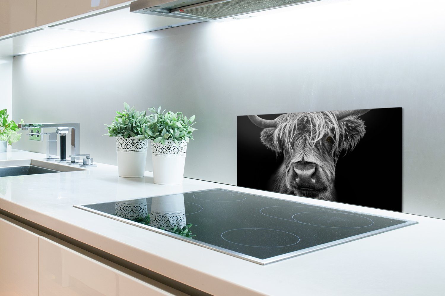 MuchoWow Küchenrückwand Schottischer Highlander - - Tiere, Küchen Kuh Wandschutz, Weiß für - 60x30 cm, Schmutzflecken Fett gegen - Wild (1-tlg), und Schwarz - - Hörner