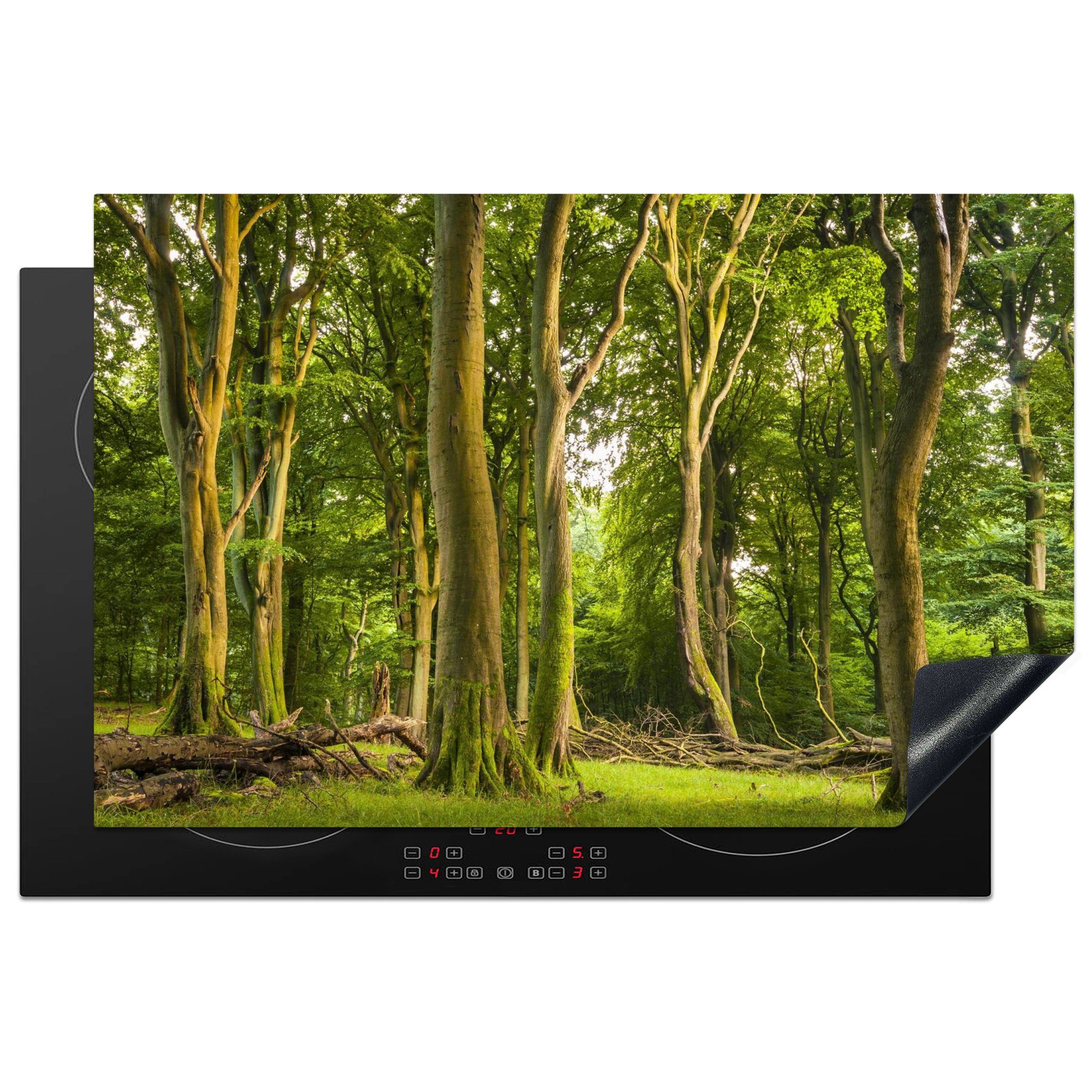 MuchoWow Herdblende-/Abdeckplatte Verschiedene Bäume in einem Wald im Nationalpark Jasmund, Vinyl, (1 tlg), 81x52 cm, Induktionskochfeld Schutz für die küche, Ceranfeldabdeckung