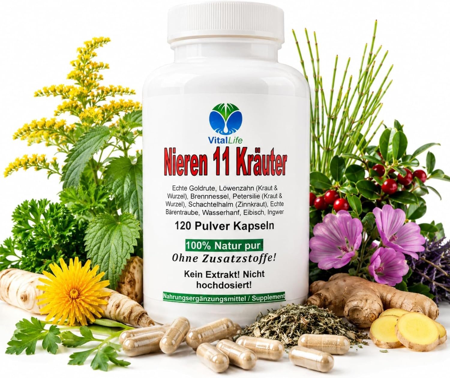 VitalLife Nieren 11 Kräuter "Nierenkräuter" NATUR Pur Ohne Zusatzsoffe Kapseln, 1 er Dose à 120 St., 56 g, Art. 26309