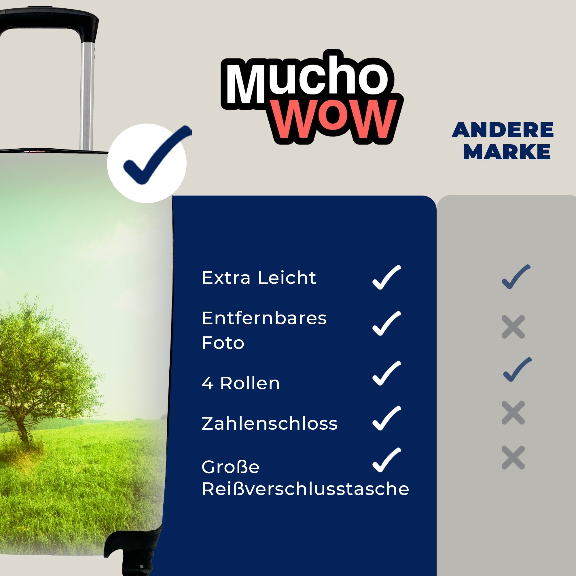 MuchoWow Handgepäckkoffer Ein Ahornbaum Himmel, Reisetasche hellblauem Reisekoffer 4 für Ferien, rollen, Rollen, Handgepäck mit Trolley, mit