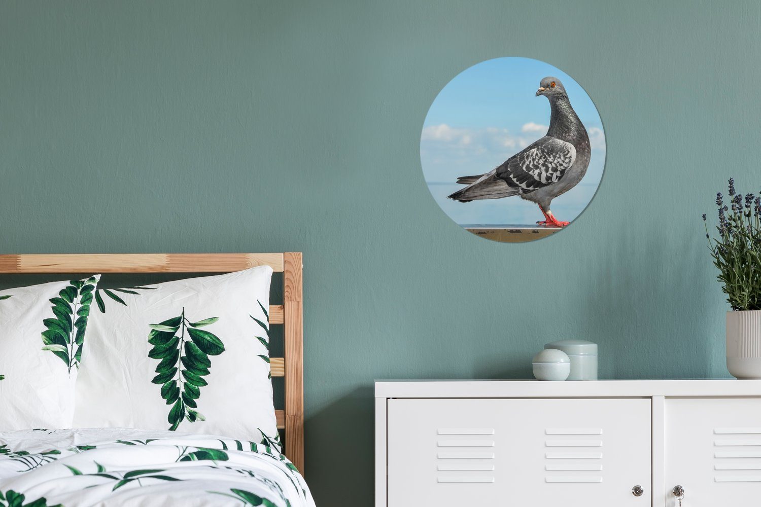 MuchoWow Gemälde Eine schöne Taube Wandbild, am Wohnzimmer, Kreis auf Wanddekoration (1 Rundes cm einer Forex, sitzt 30x30 Meer, St), Mauer