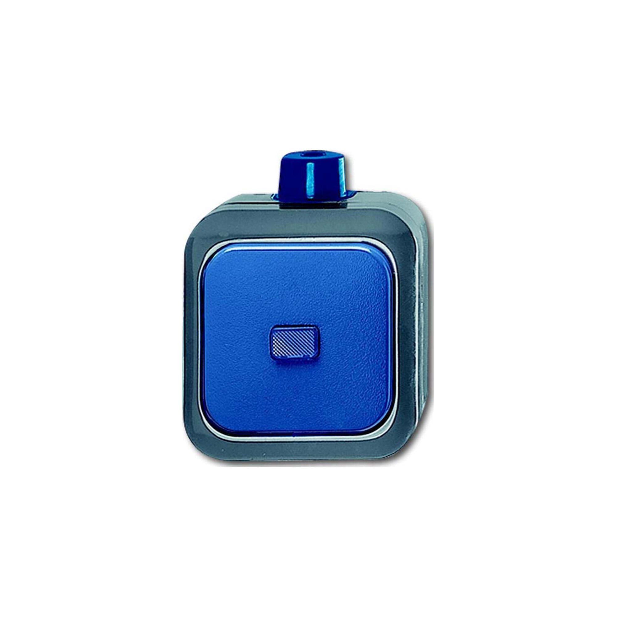 Busch-Jaeger Schalter Busch-Jaeger Wechselschalter AP 2601/6 WDI