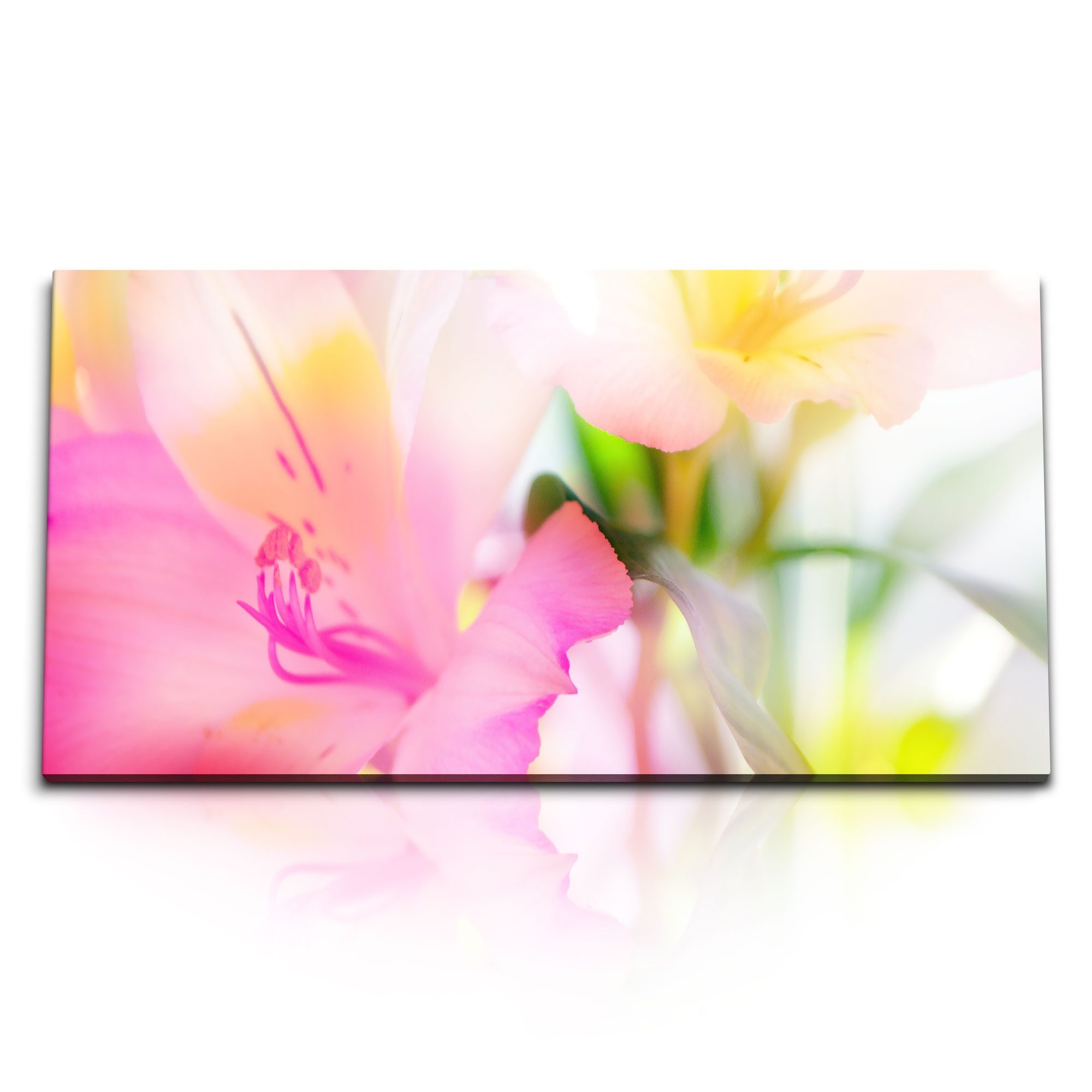 Leinwandbild Kunstdruck Bilder 120x60cm Blumen Blüten Sommer Sonnenschein Fotokunst