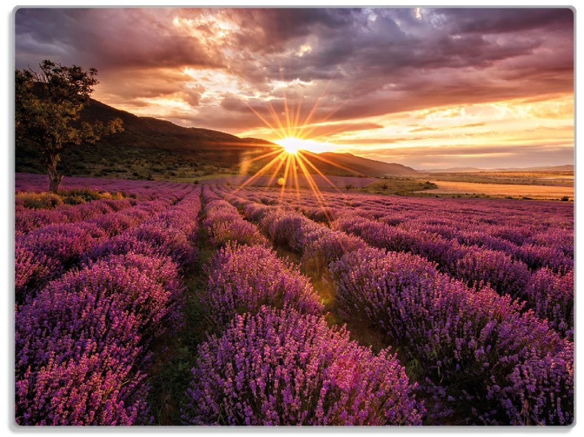 Wallario Schneidebrett Lavendelfeld bei Sonnenuntergang - Sonnenstrahlen, ESG-Sicherheitsglas, (inkl. rutschfester Gummifüße 4mm, 1-St), 30x40cm