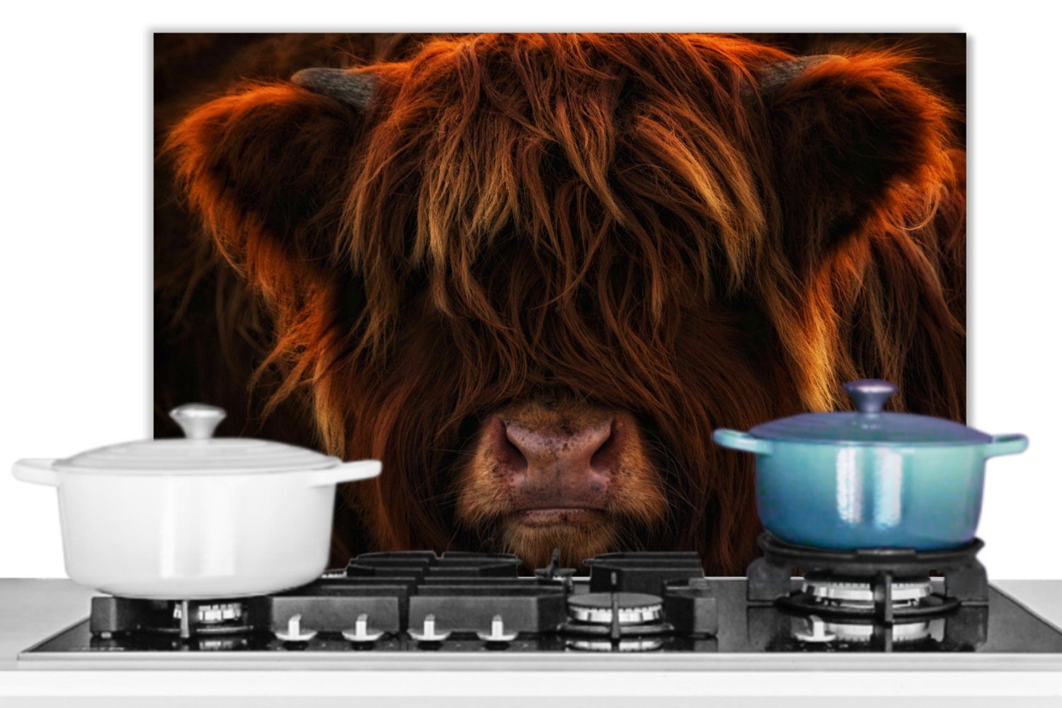 küchen Porträt, (1-tlg), Kuh Wandschutz, 60x40 - Herdblende Schwarz cm, - Temperaturbeständig aus Küchenrückwand MuchoWow Schottischer Highlander -