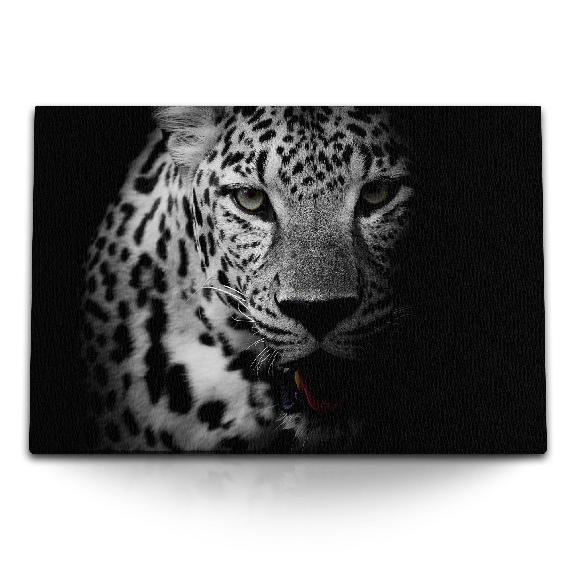 Leinwandbild 120x80cm Wandbild auf Leinwand Schwarz Weiß Tierfotografie Jaguar Raub
