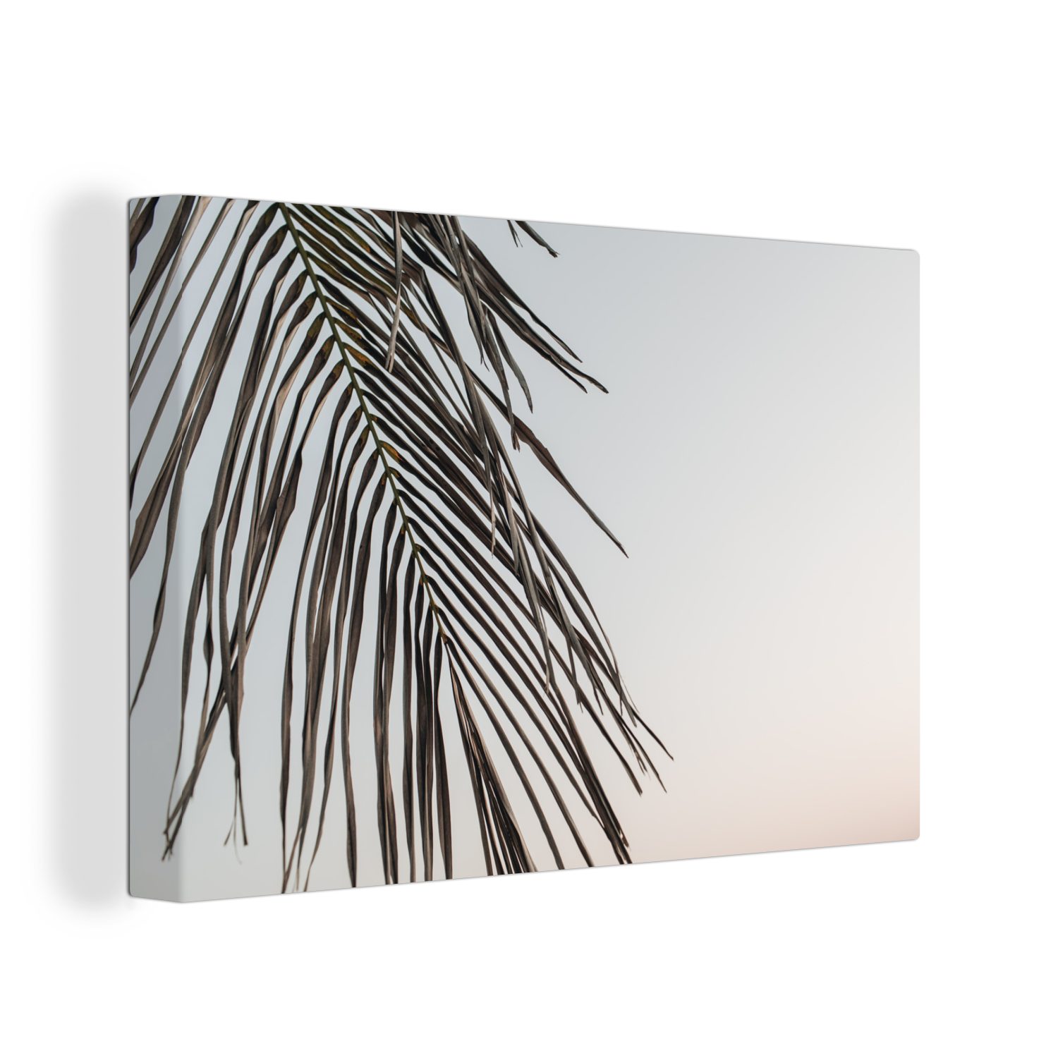 OneMillionCanvasses® Leinwandbild Sommer - Palme - Blatt, (1 St), Wandbild Leinwandbilder, Aufhängefertig, Wanddeko, 30x20 cm