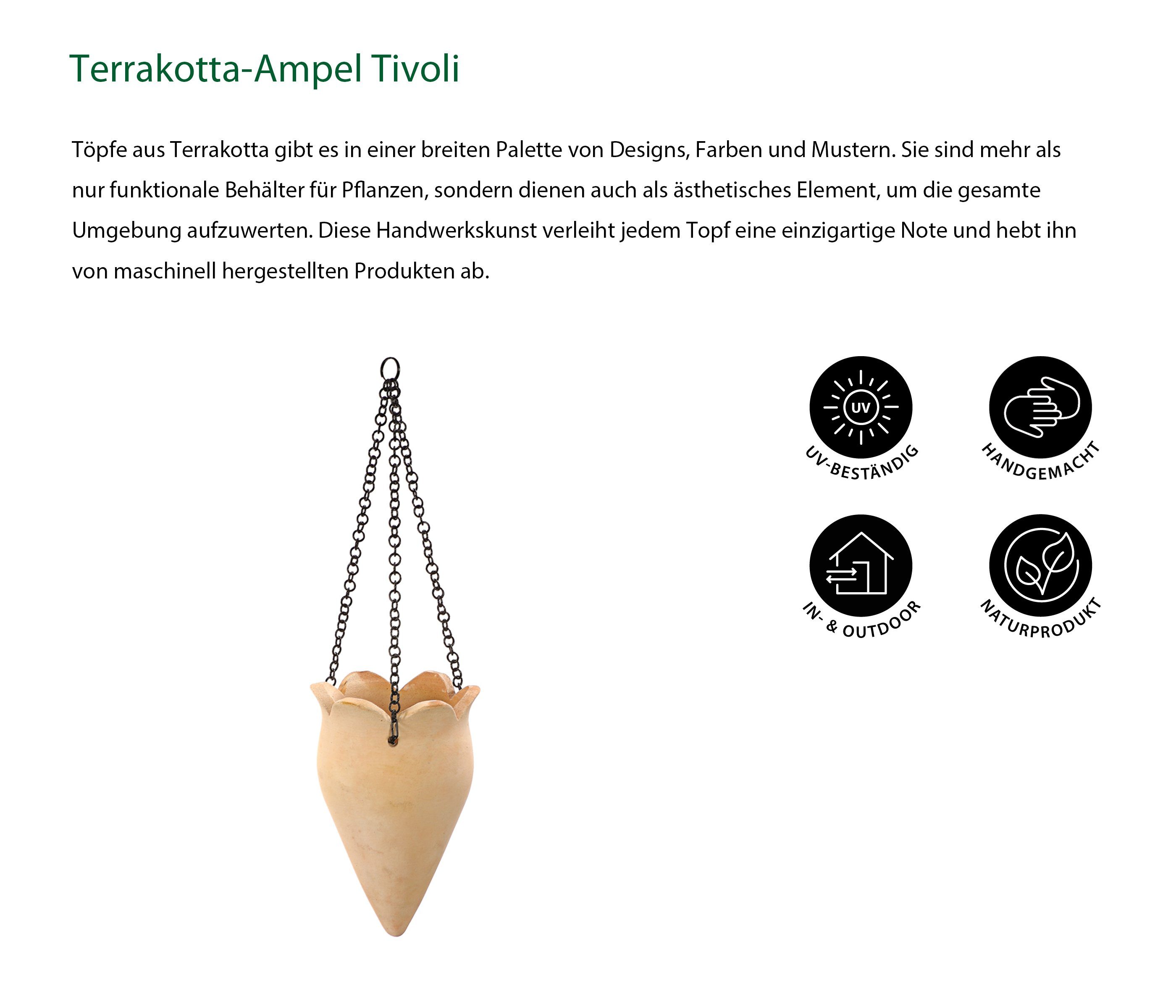 Dehner Blumenampel Amphore, Ø 18 cm günstig online kaufen
