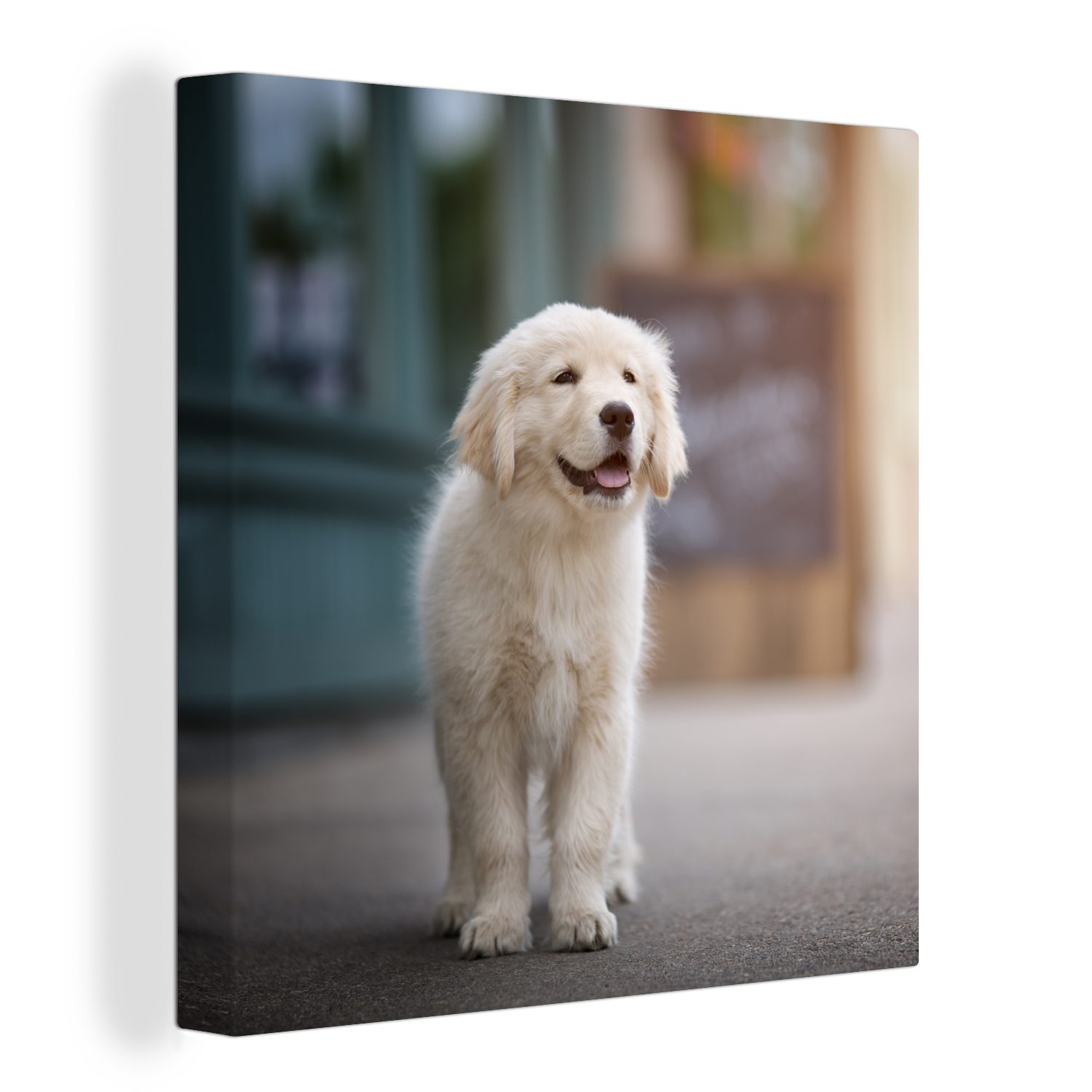 OneMillionCanvasses® Leinwandbild Ein Golden Retriever Welpe läuft auf dem Bürgersteig, (1 St), Leinwand Bilder für Wohnzimmer Schlafzimmer