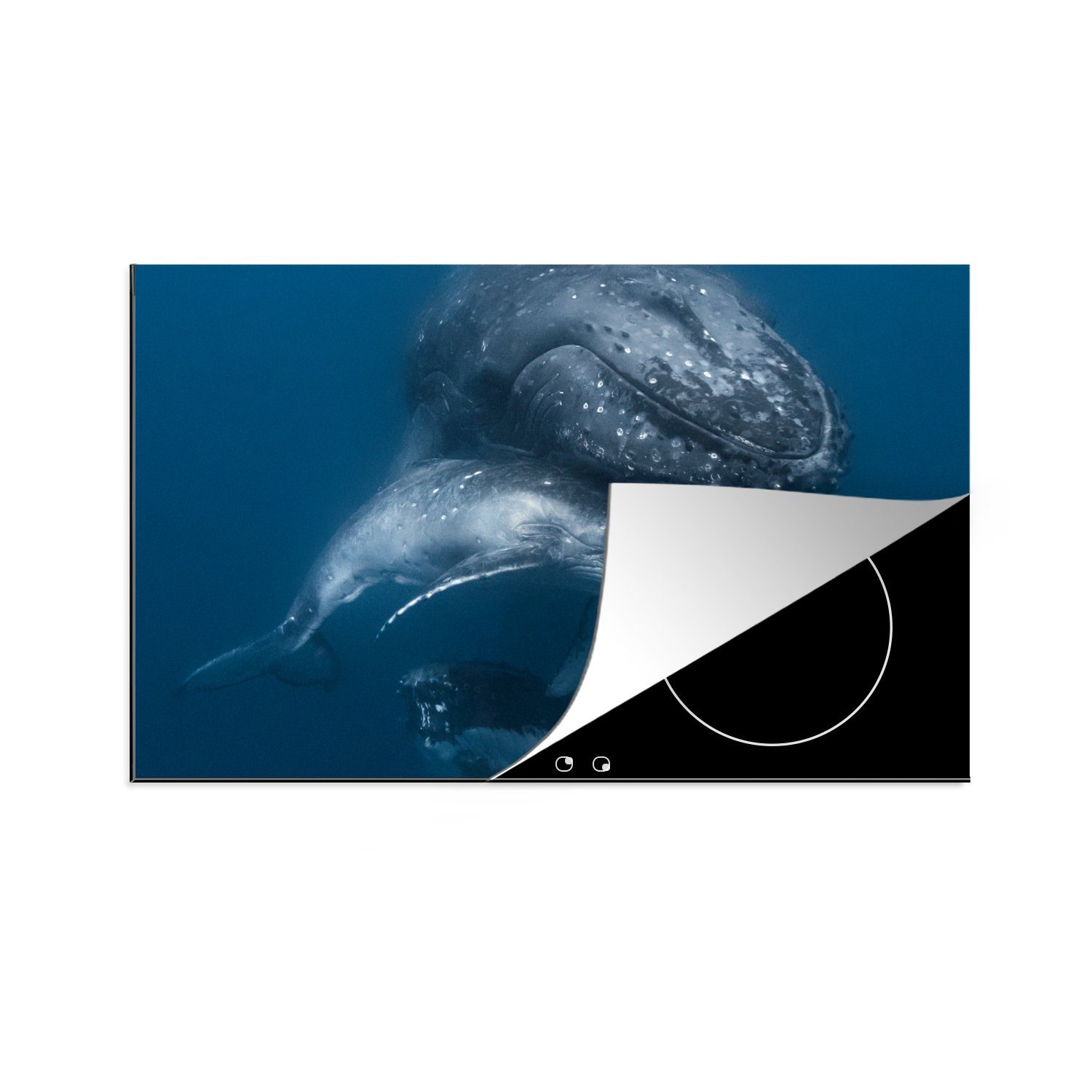MuchoWow Herdblende-/Abdeckplatte Wale - Meer - Familie, Vinyl, (1 tlg), 81x52 cm, Induktionskochfeld Schutz für die küche, Ceranfeldabdeckung