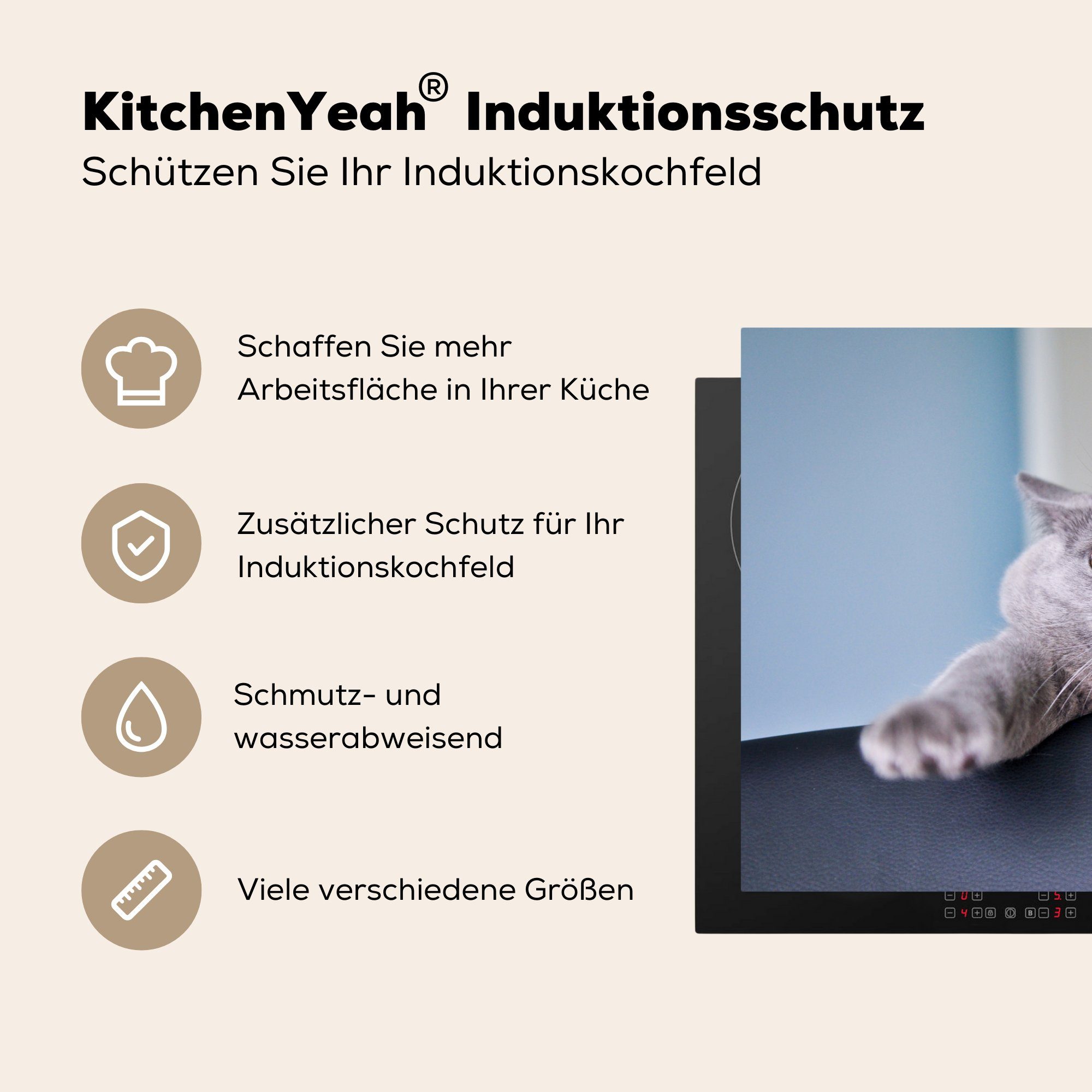 Schutz für Grau tlg), - küche, MuchoWow Katze die Induktionskochfeld - Stuhl, (1 81x52 Vinyl, Ceranfeldabdeckung cm, Herdblende-/Abdeckplatte